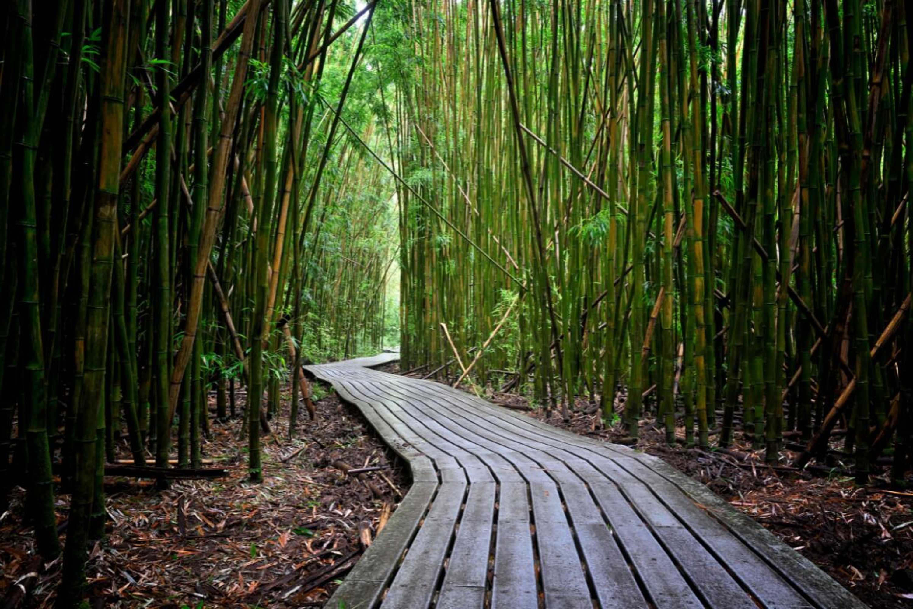 Gift card for Kuau Plaza Paia Condo With Parking