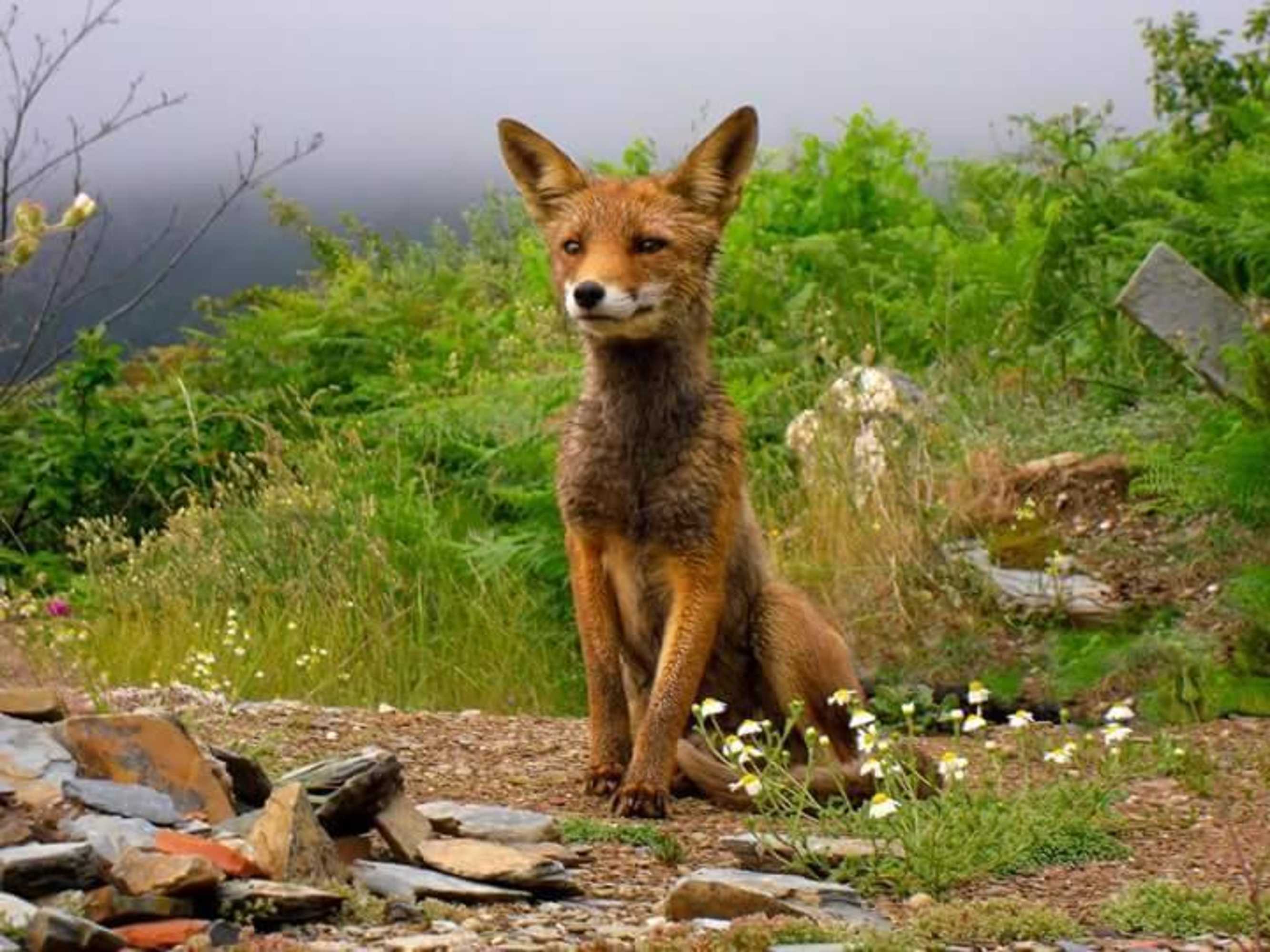 Gift card for Inxisto Lodges