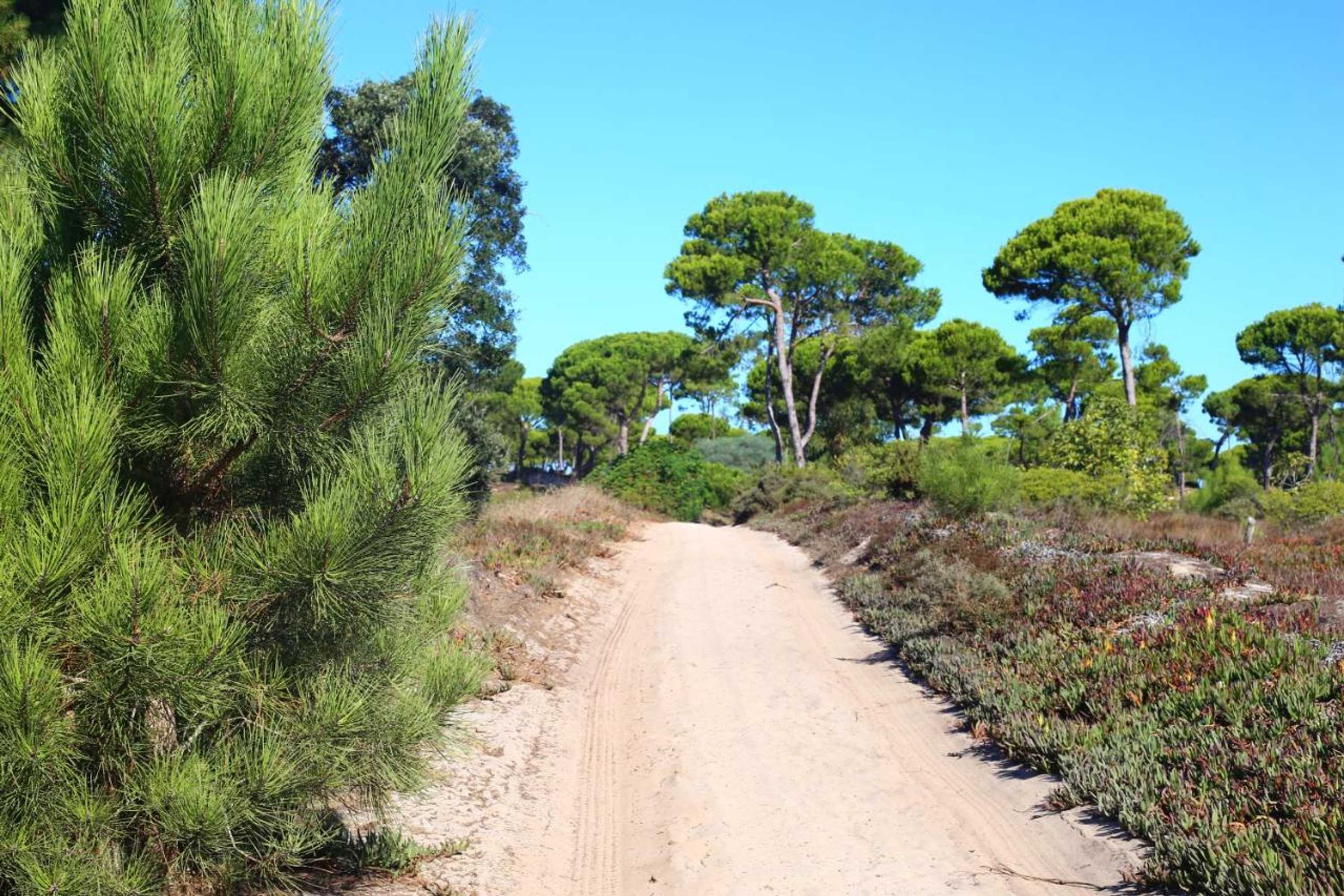 Gift card for Casa do Pai Beach House