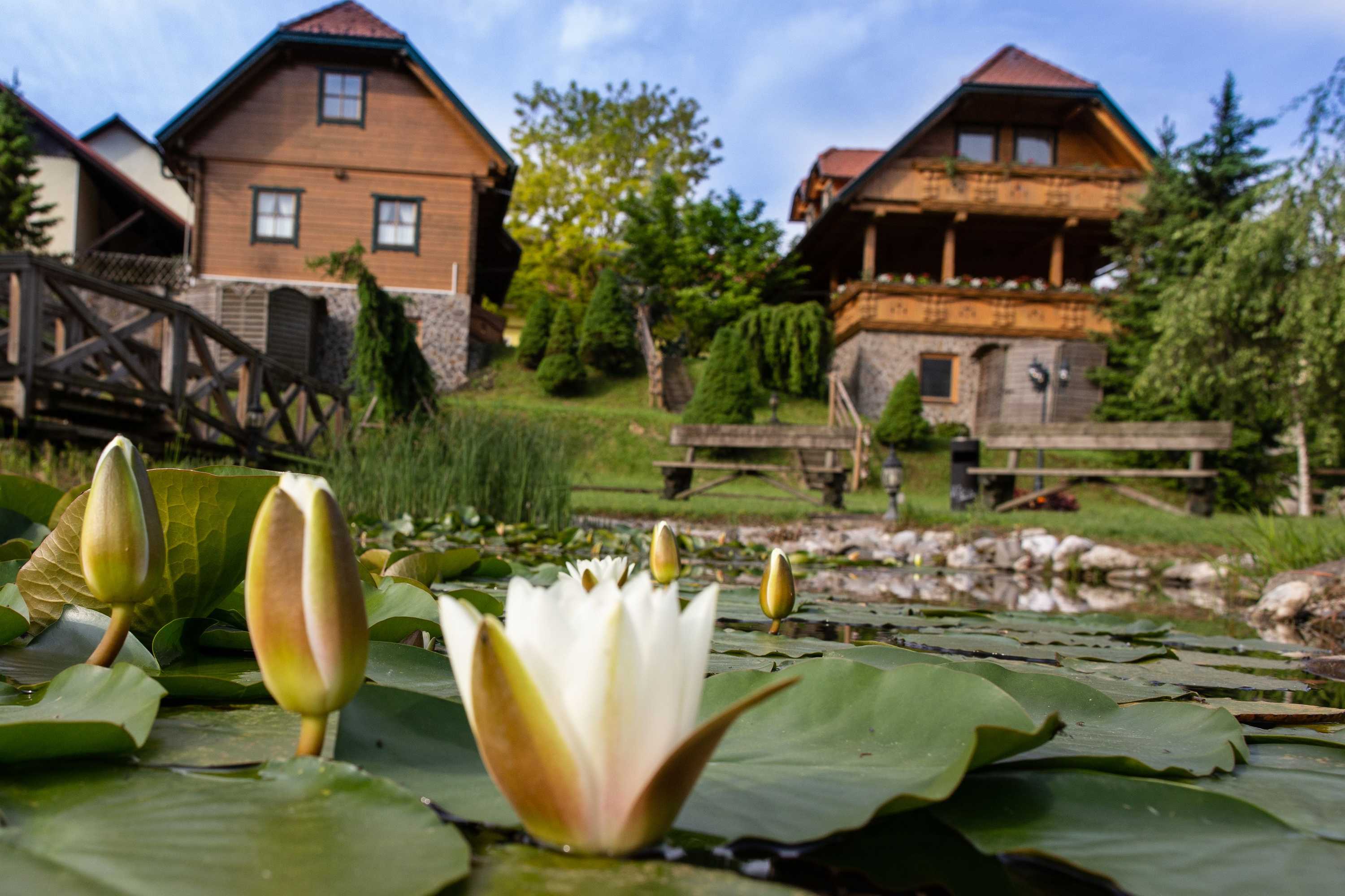 Gift card for Apartments And Wellness Center Korošec Gift card for Apartments And Wellness Center Korošec