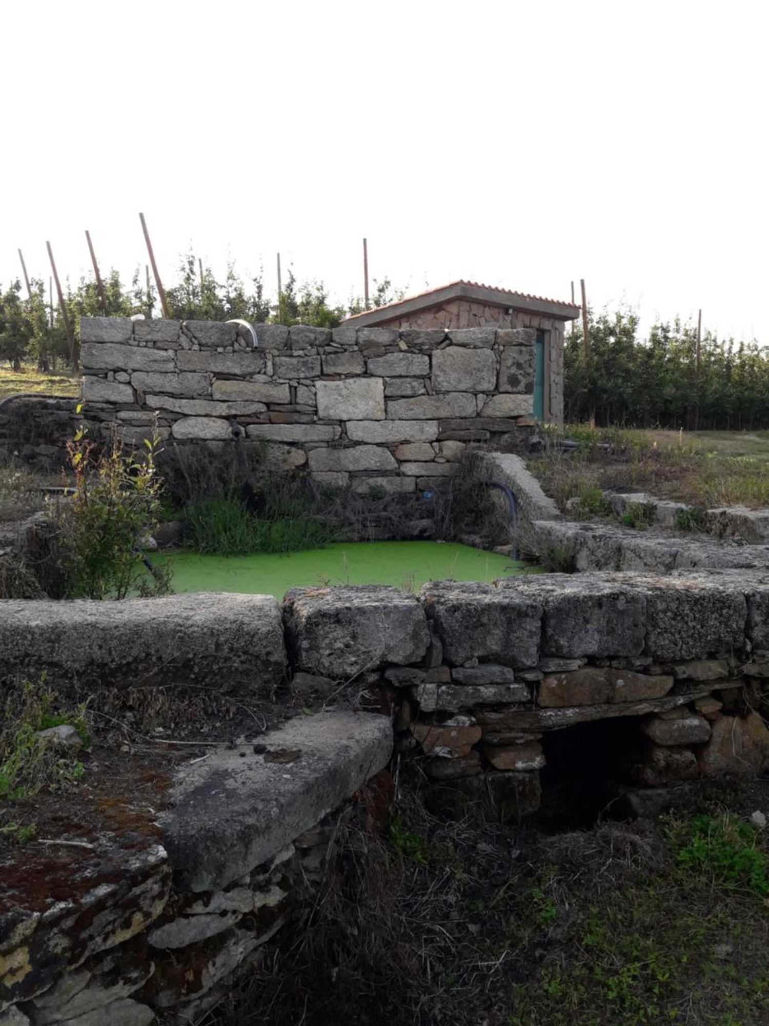 Gift card for Casa do Feitor - Douro - Quinta da Cabrida Gift card for Casa do Feitor - Douro - Quinta da Cabrida