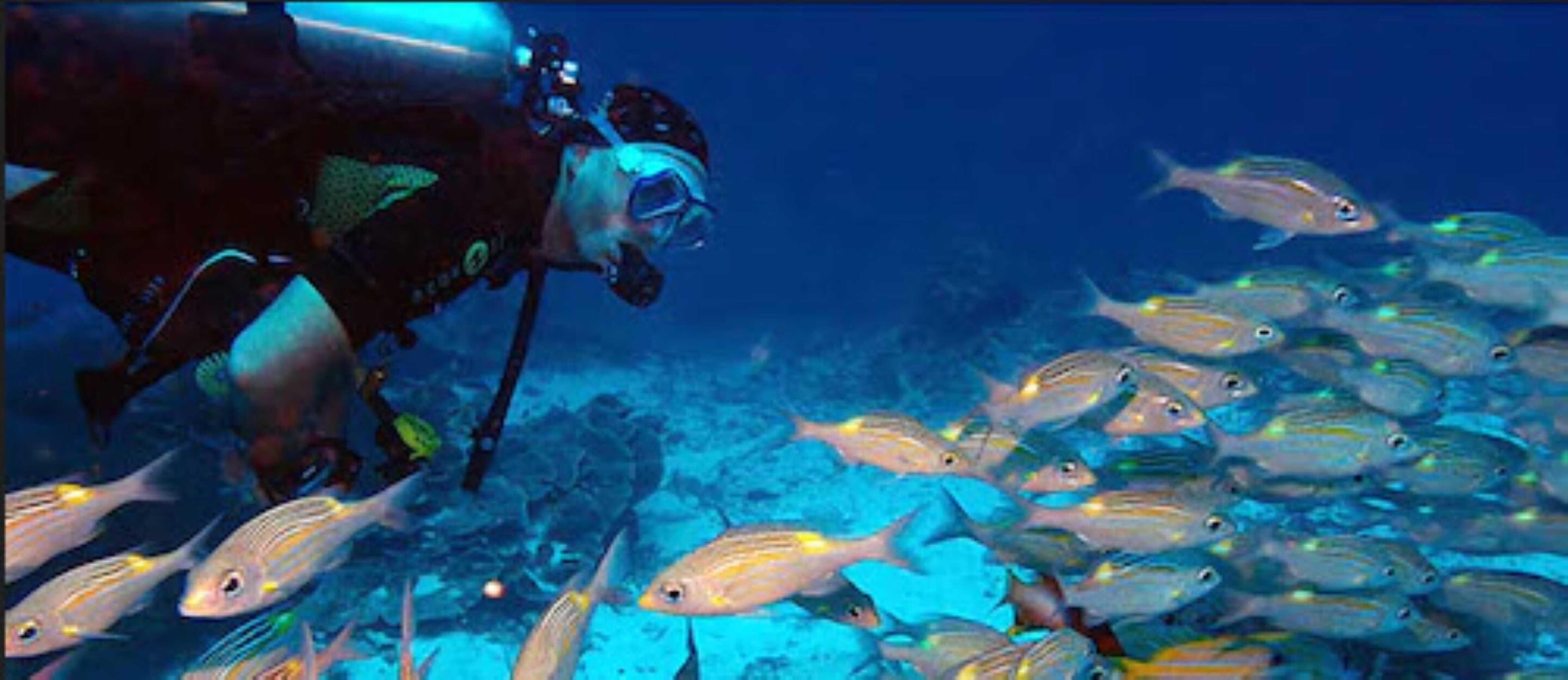 Gift card for Sunshine Marine Lodge