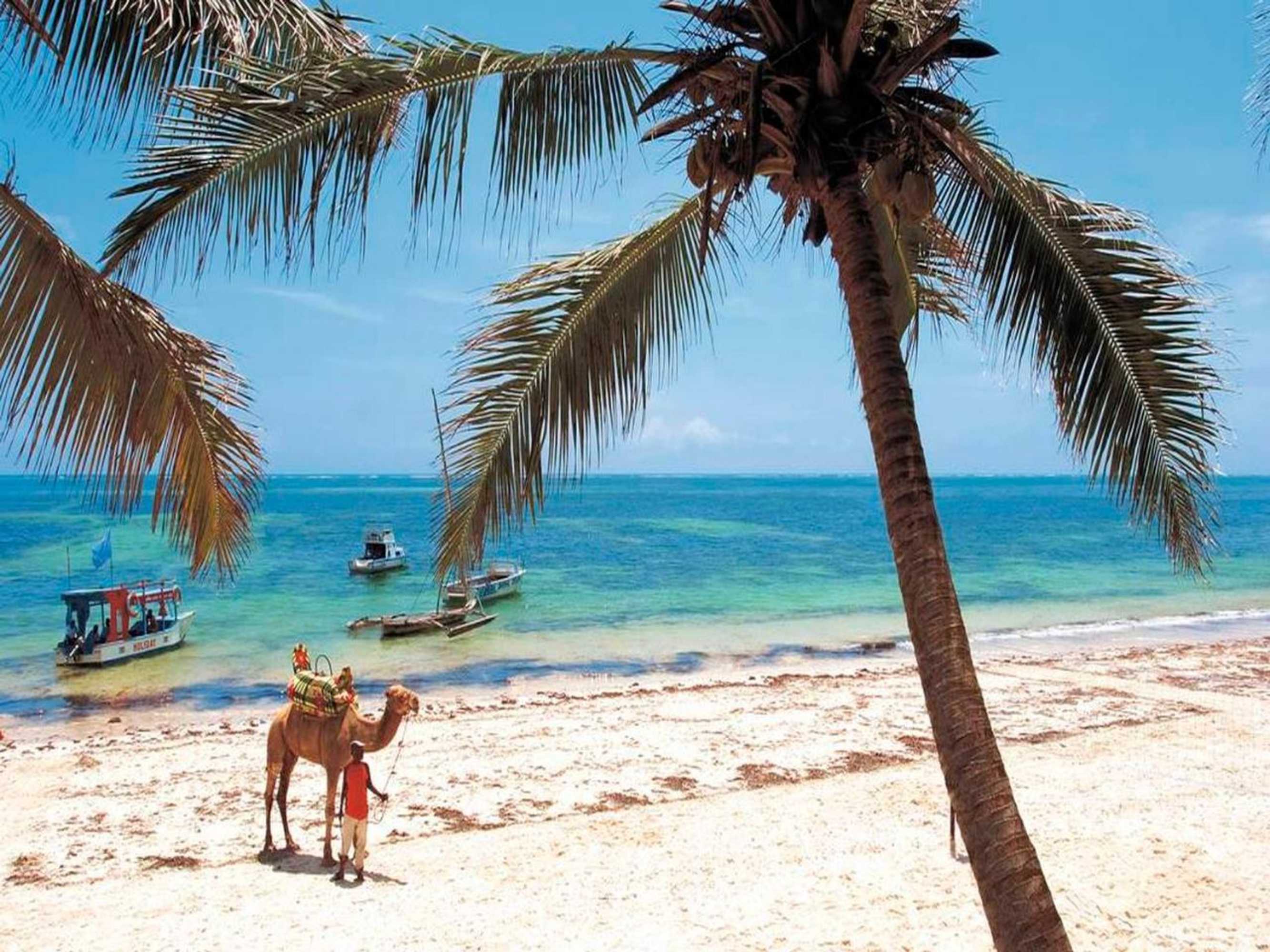 Gift card for Ogalis K Coast Hotel Gift card for Ogalis K Coast Hotel