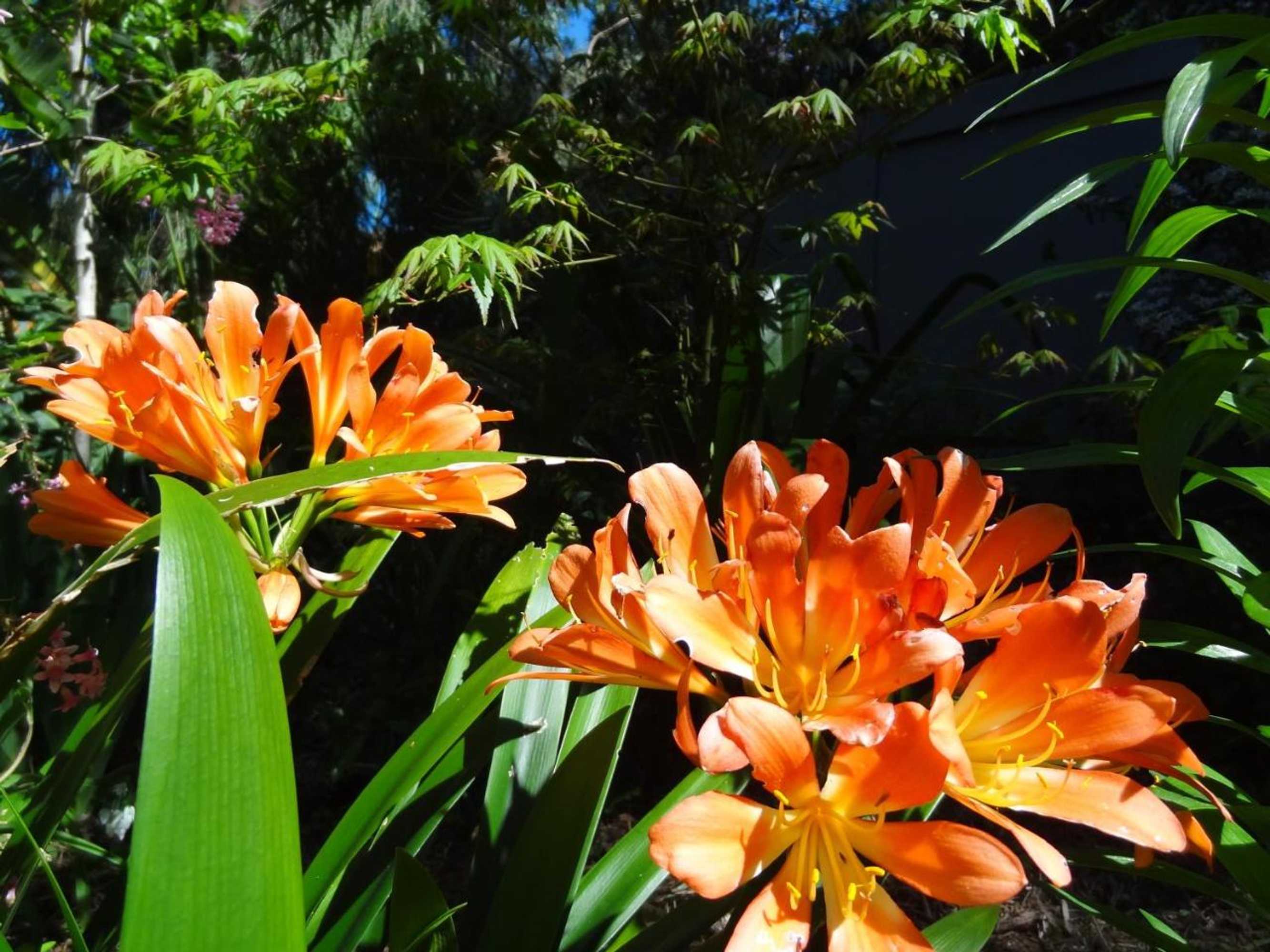 Gift card for The Gallery Accommodation Mccrae Gift card for The Gallery Accommodation Mccrae