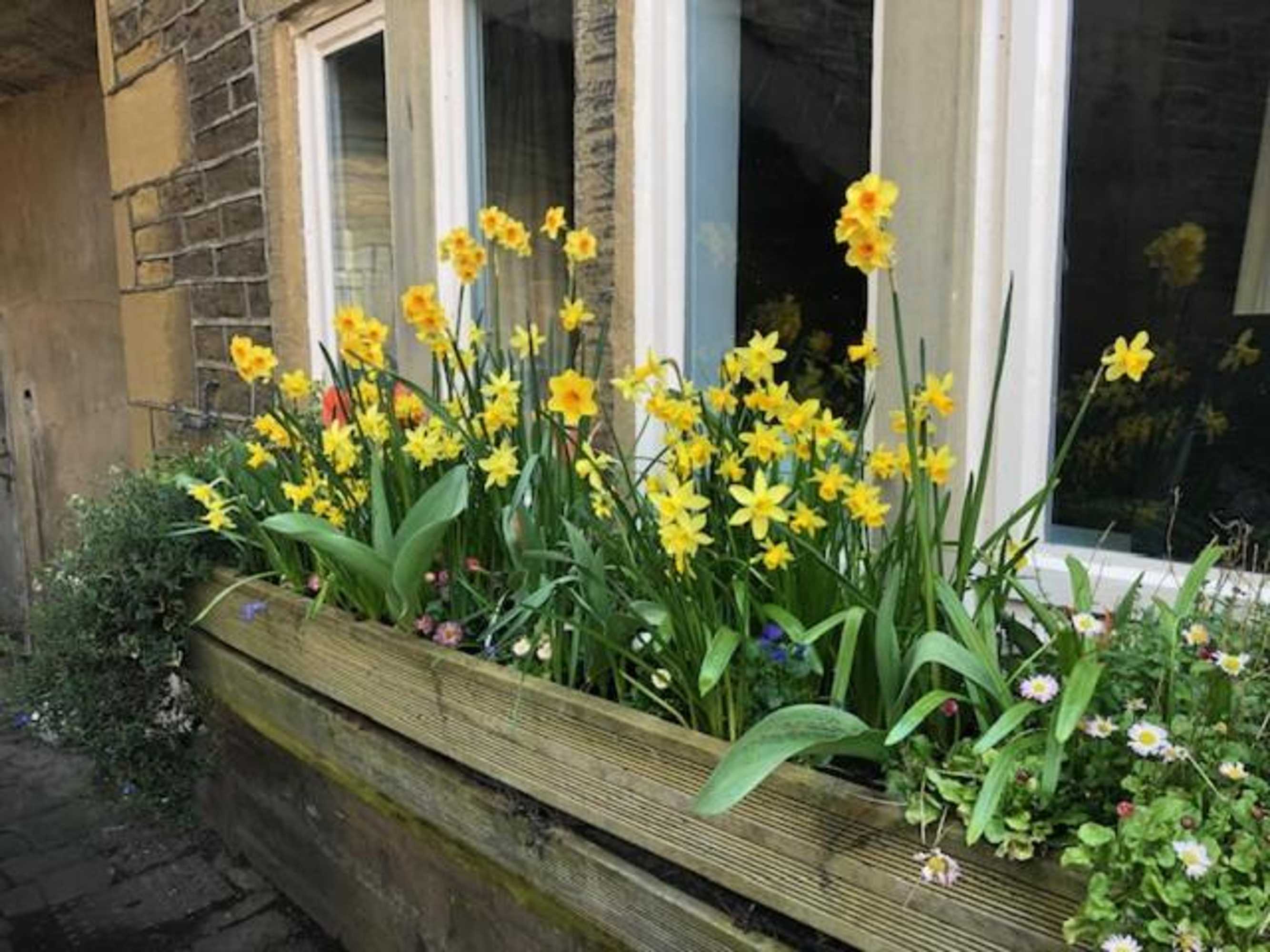 Gift card for Over The Bridge Guest House