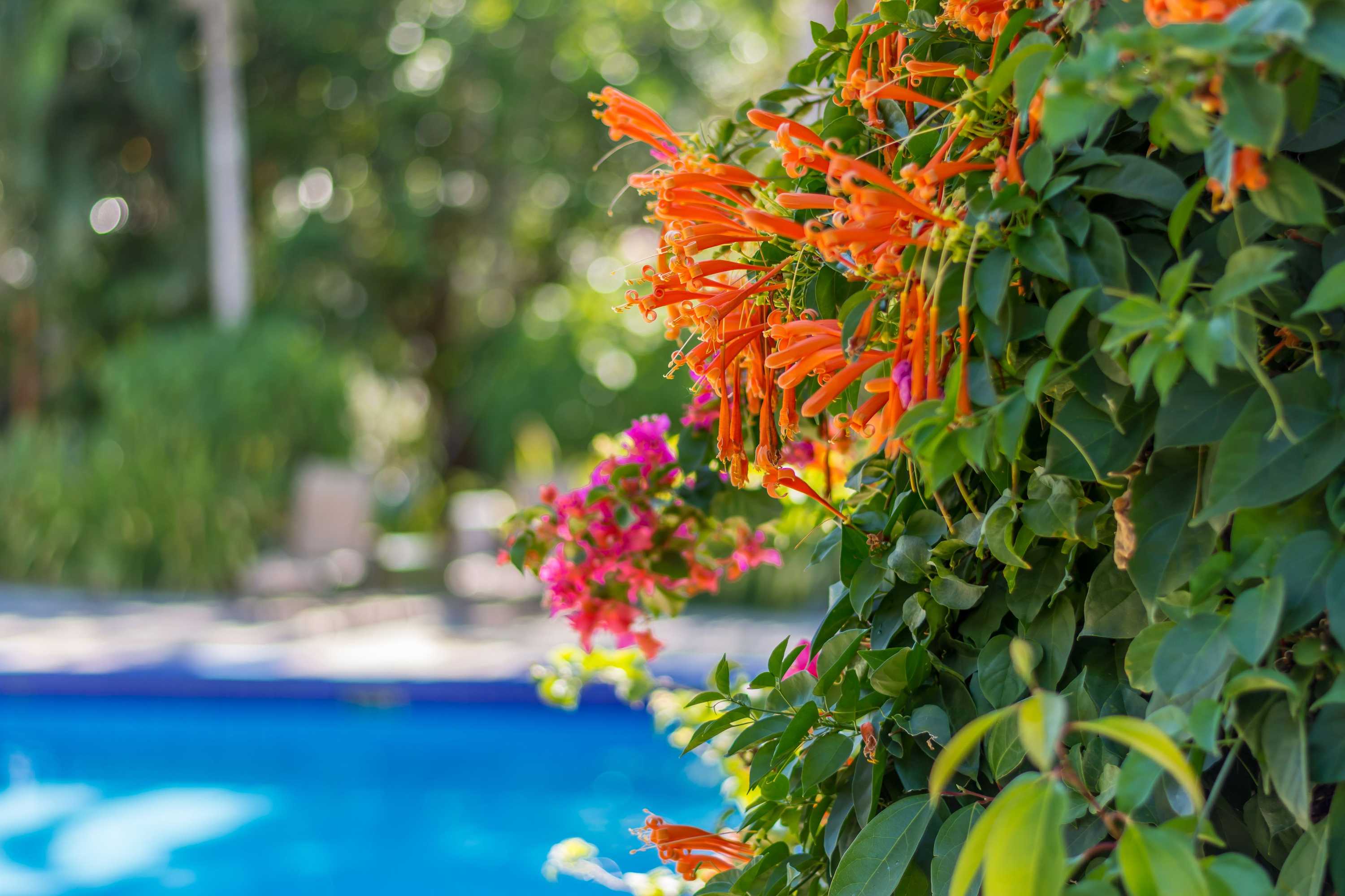 Gift card for Hotel Colinas Del Sol