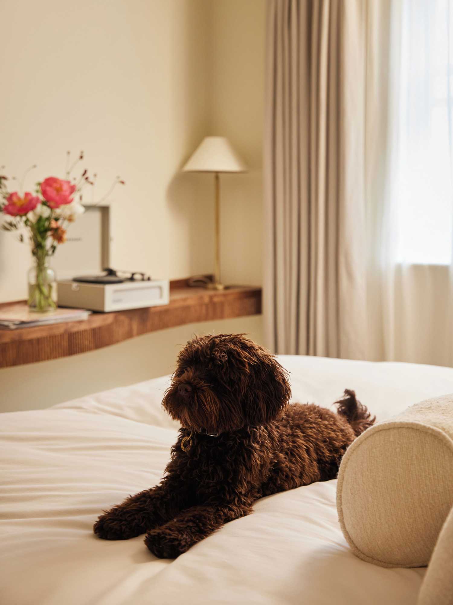 Gift card for No 42 by Guesthouse, Margate Gift card for No 42 by Guesthouse, Margate