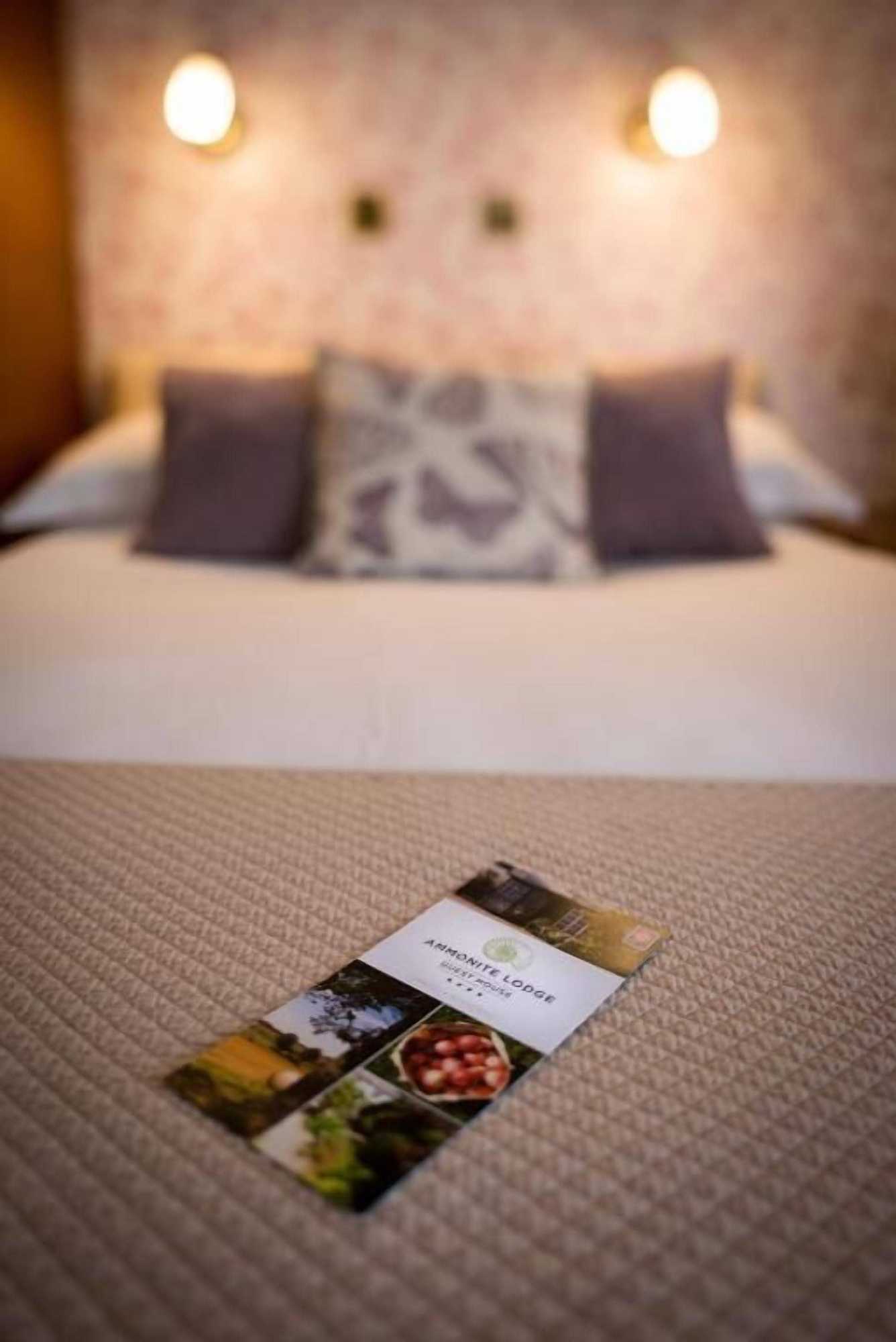 Gift card for Ammonite Lodge Guest House Gift card for Ammonite Lodge Guest House