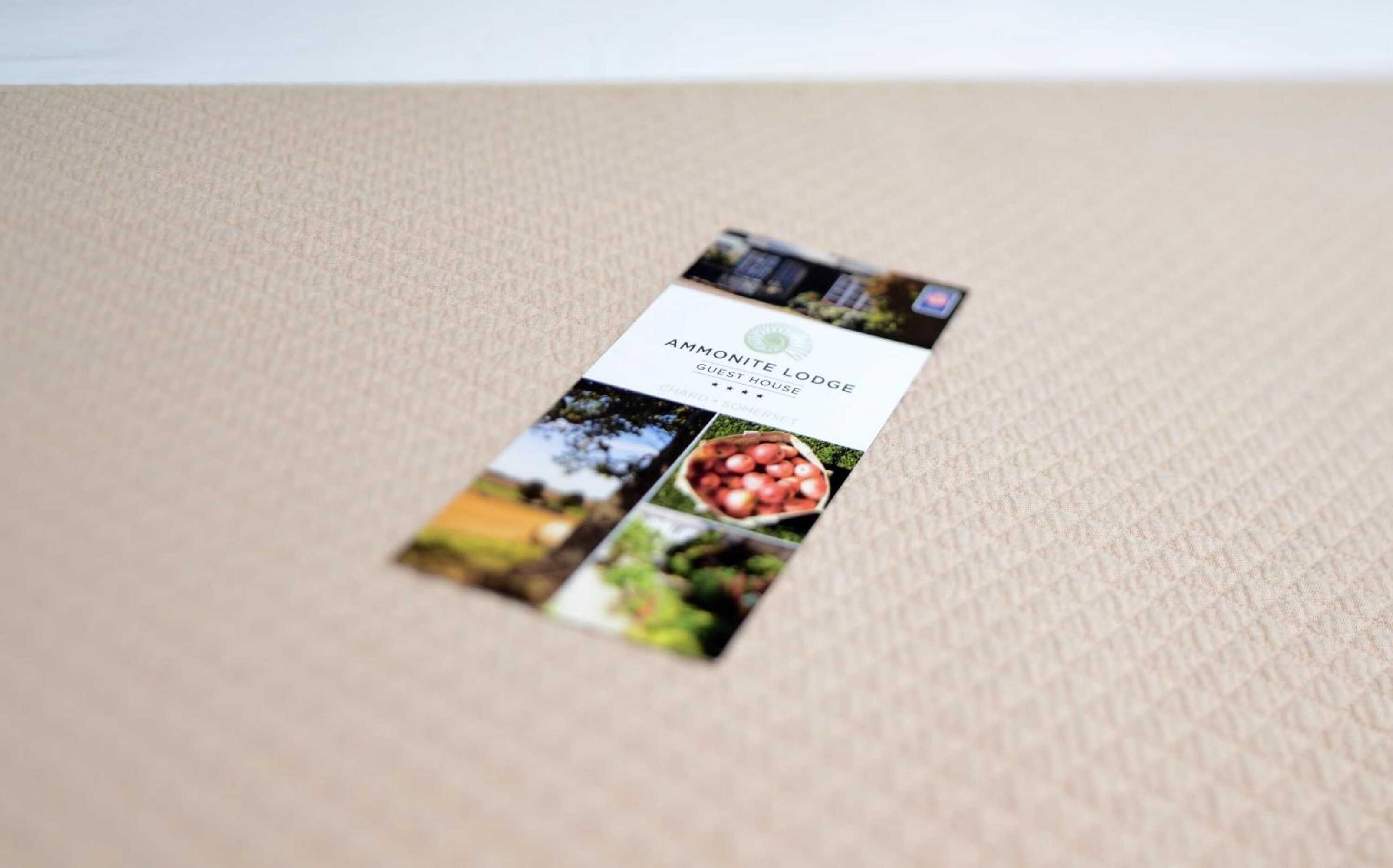 Gift card for Ammonite Lodge Guest House Gift card for Ammonite Lodge Guest House