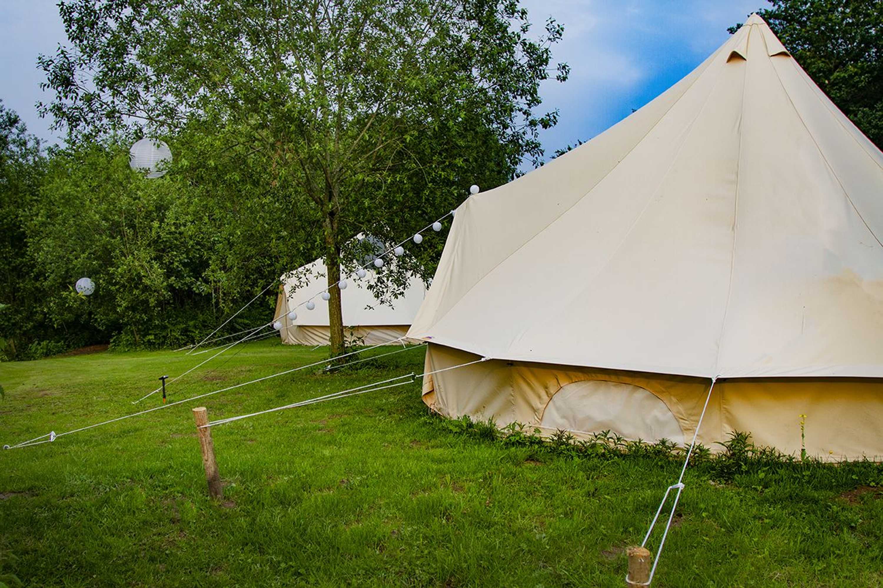 Gift card for Lloyds Meadow Glamping Delamere Chester Gift card for Lloyds Meadow Glamping Delamere Chester