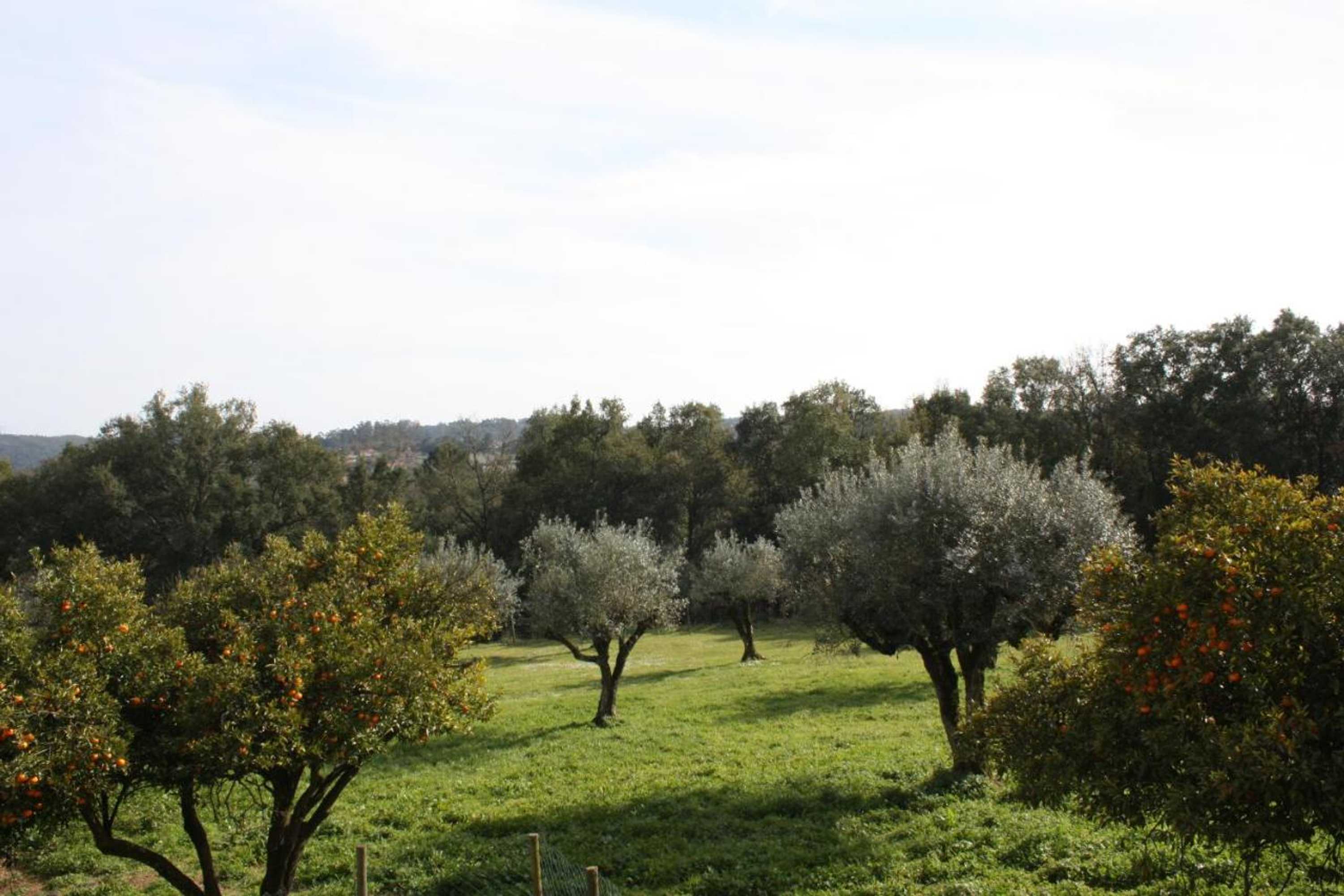 Gift card for Quinta do Cerquito