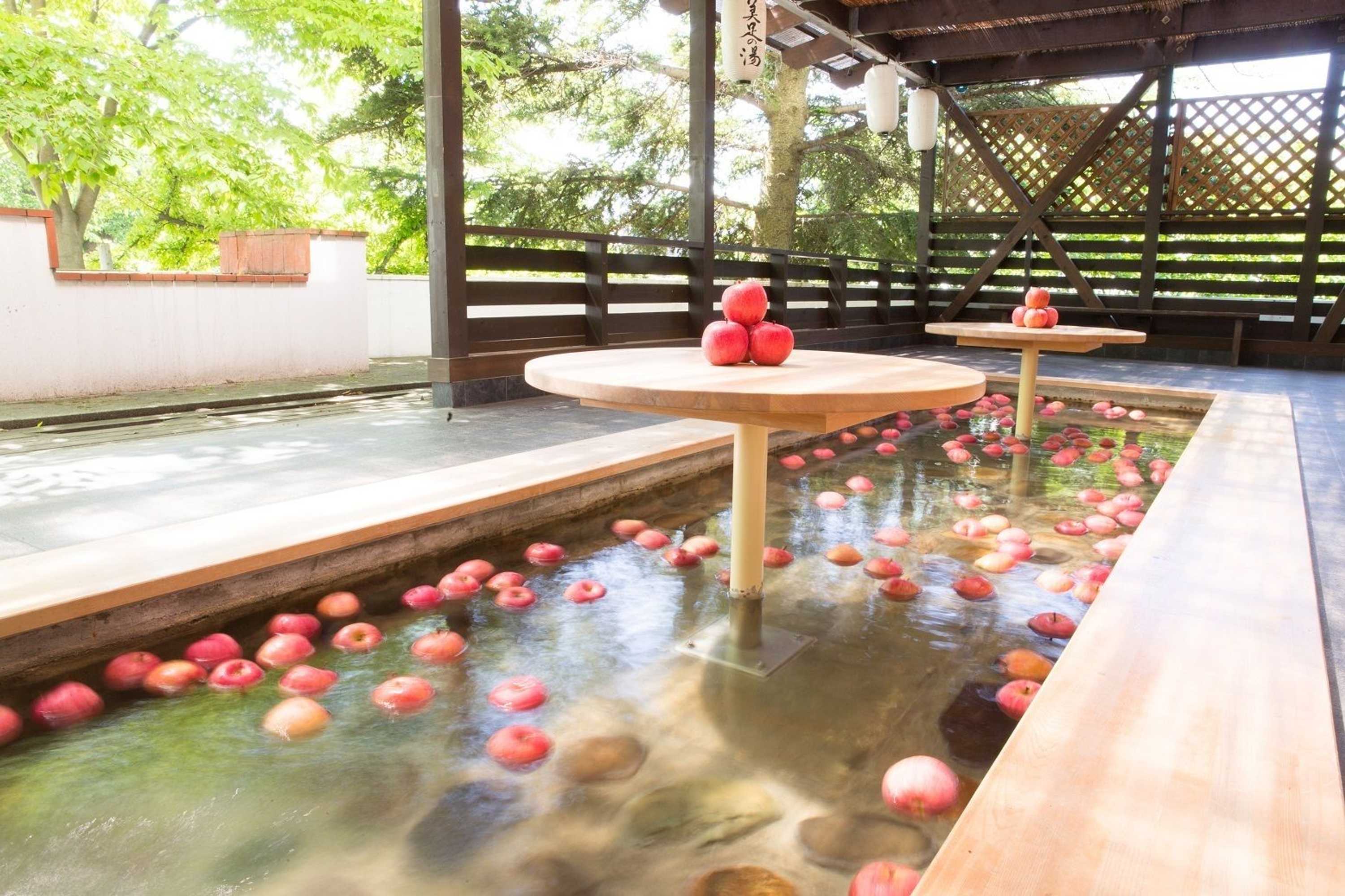 Gift card for Minamida Onsen Hotel Apple Land Gift card for Minamida Onsen Hotel Apple Land