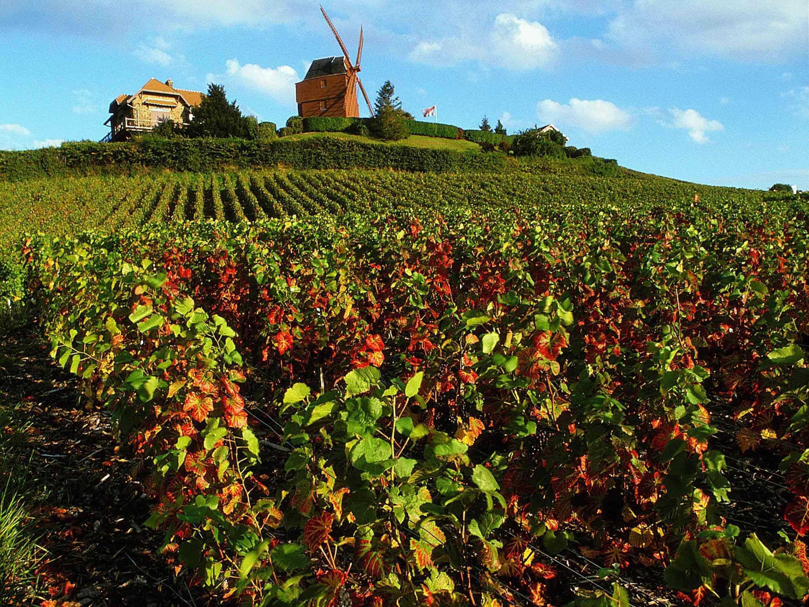 Gift card for Ibis Styles Reims Centre Gift card for Ibis Styles Reims Centre