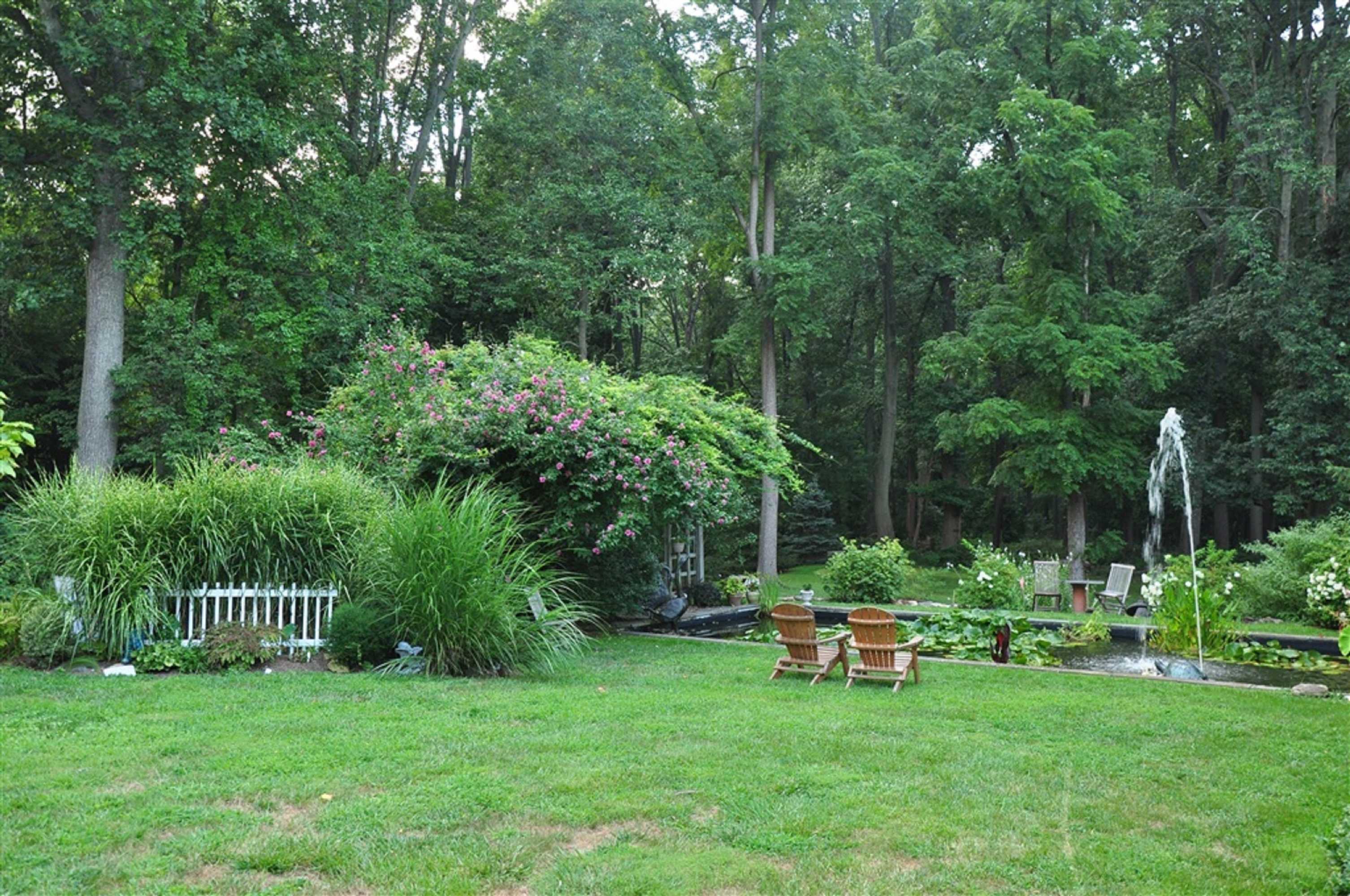 Gift card for Wild Wisteria