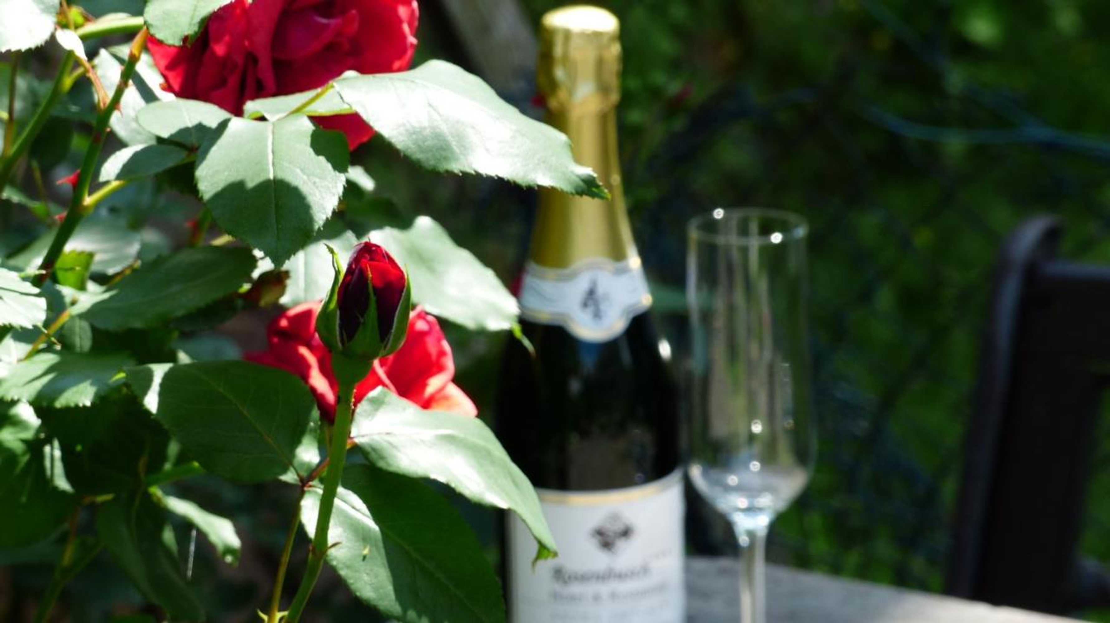 Gift card for Hotel Rosenbusch