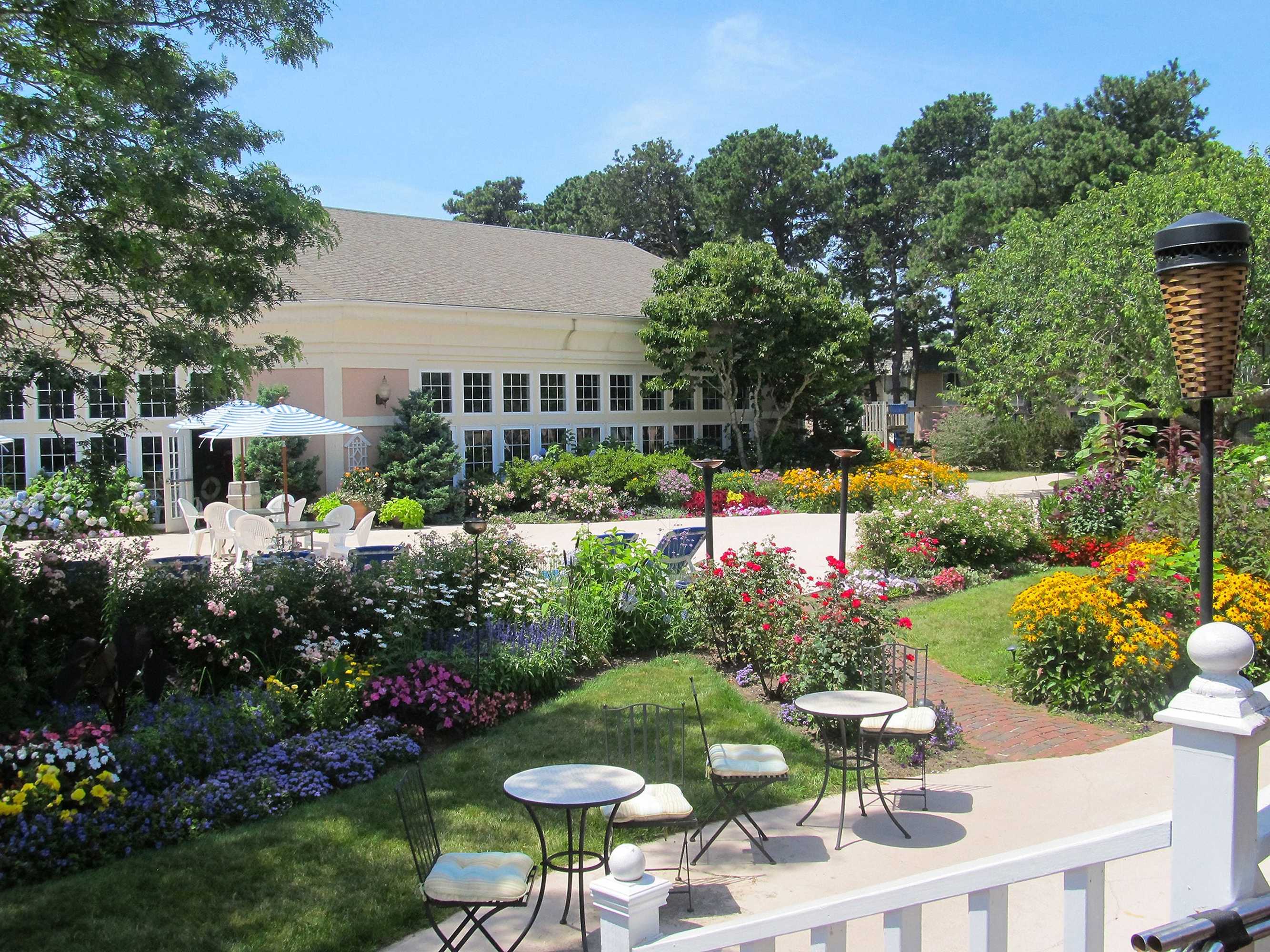 Gift card for Margaritaville Resort Cape Cod Gift card for Margaritaville Resort Cape Cod