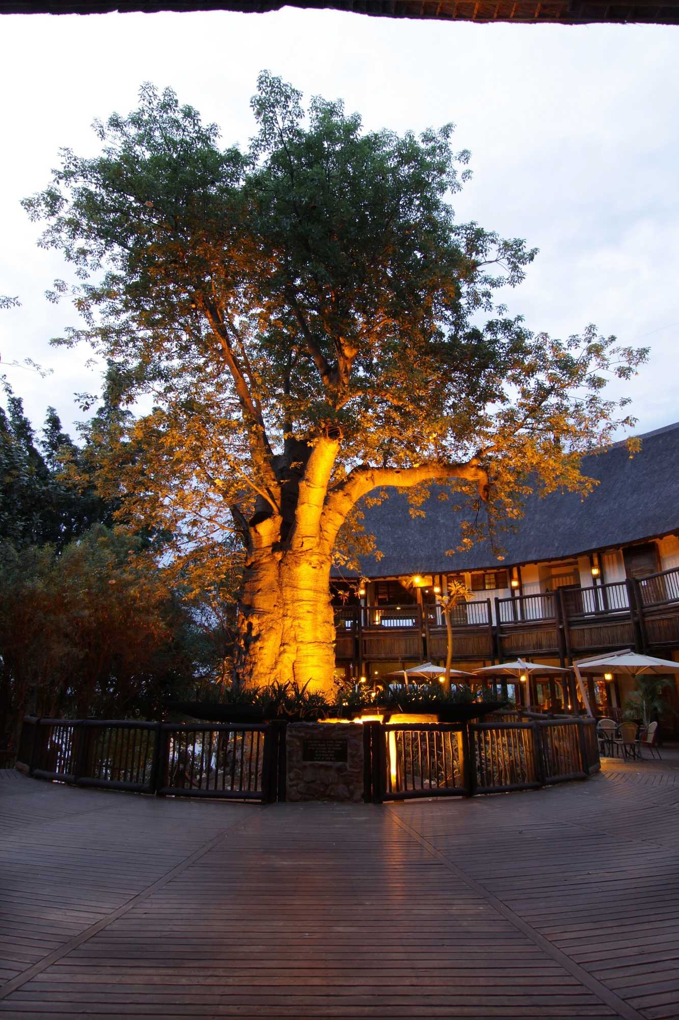 Gift card for Cresta Mowana Safari Resort & Spa Gift card for Cresta Mowana Safari Resort & Spa