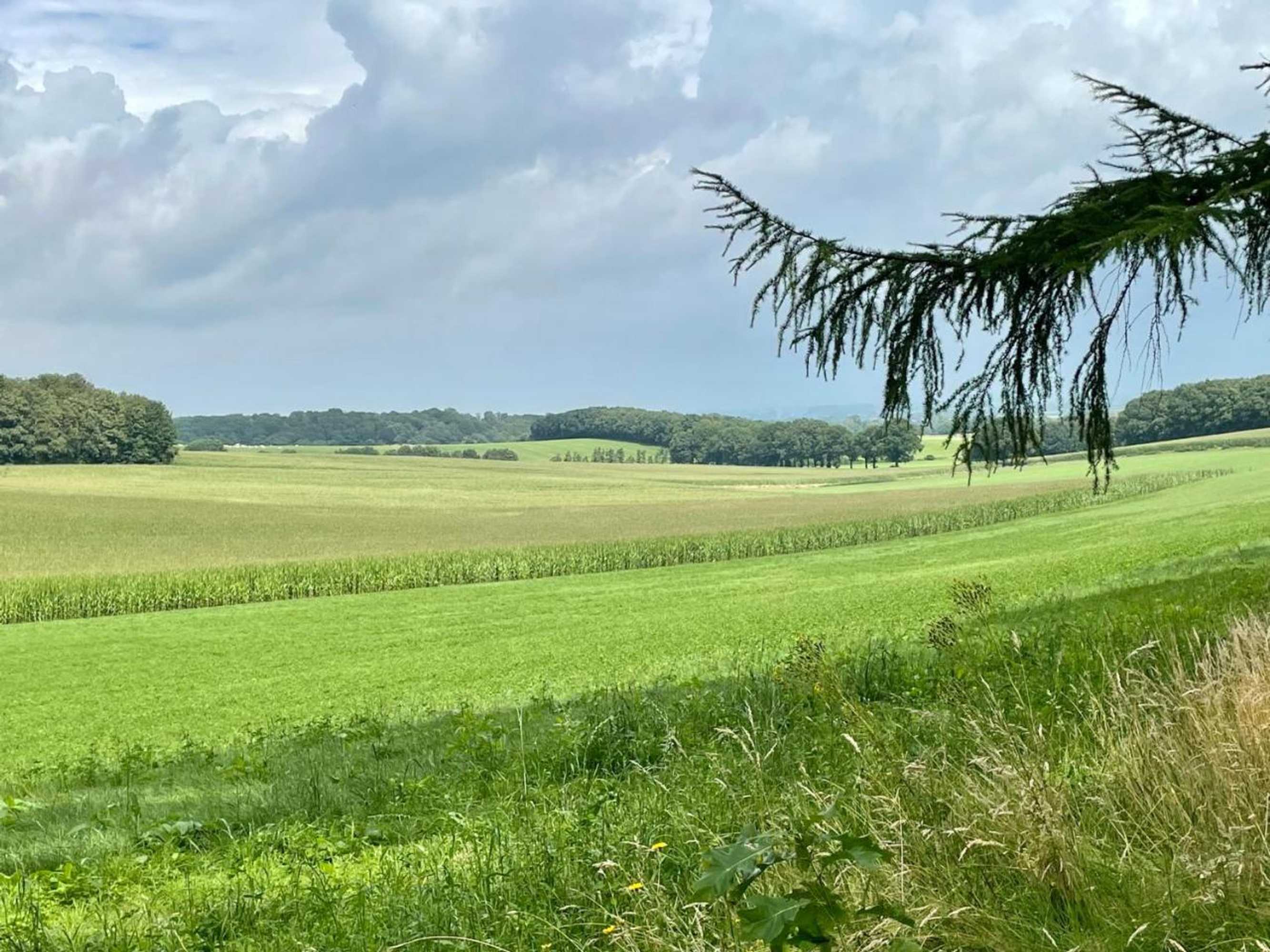 Gift card for Camping Lagewald Vakantiehuis