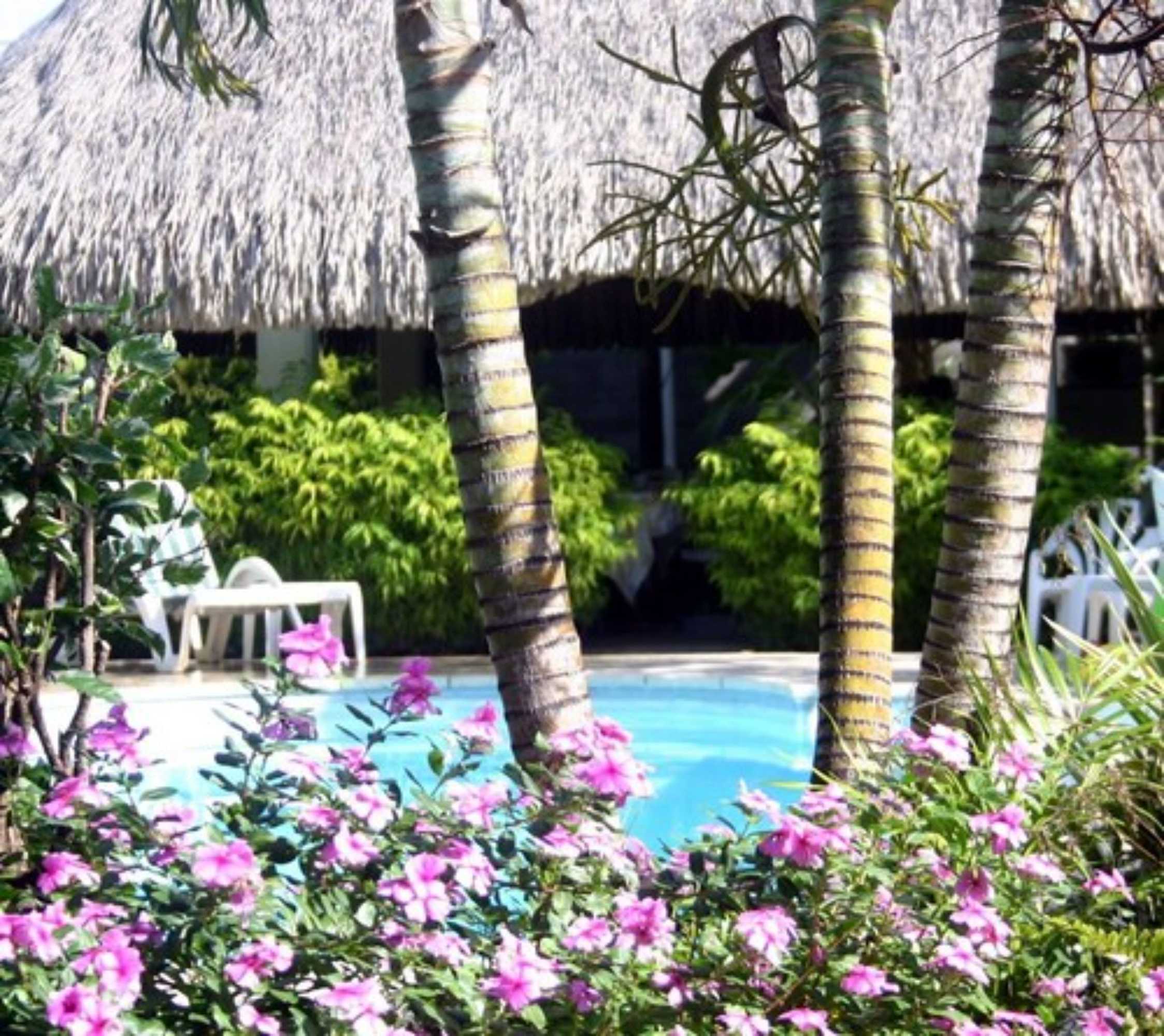 Gift card for Pension de la Plage Gift card for Pension de la Plage