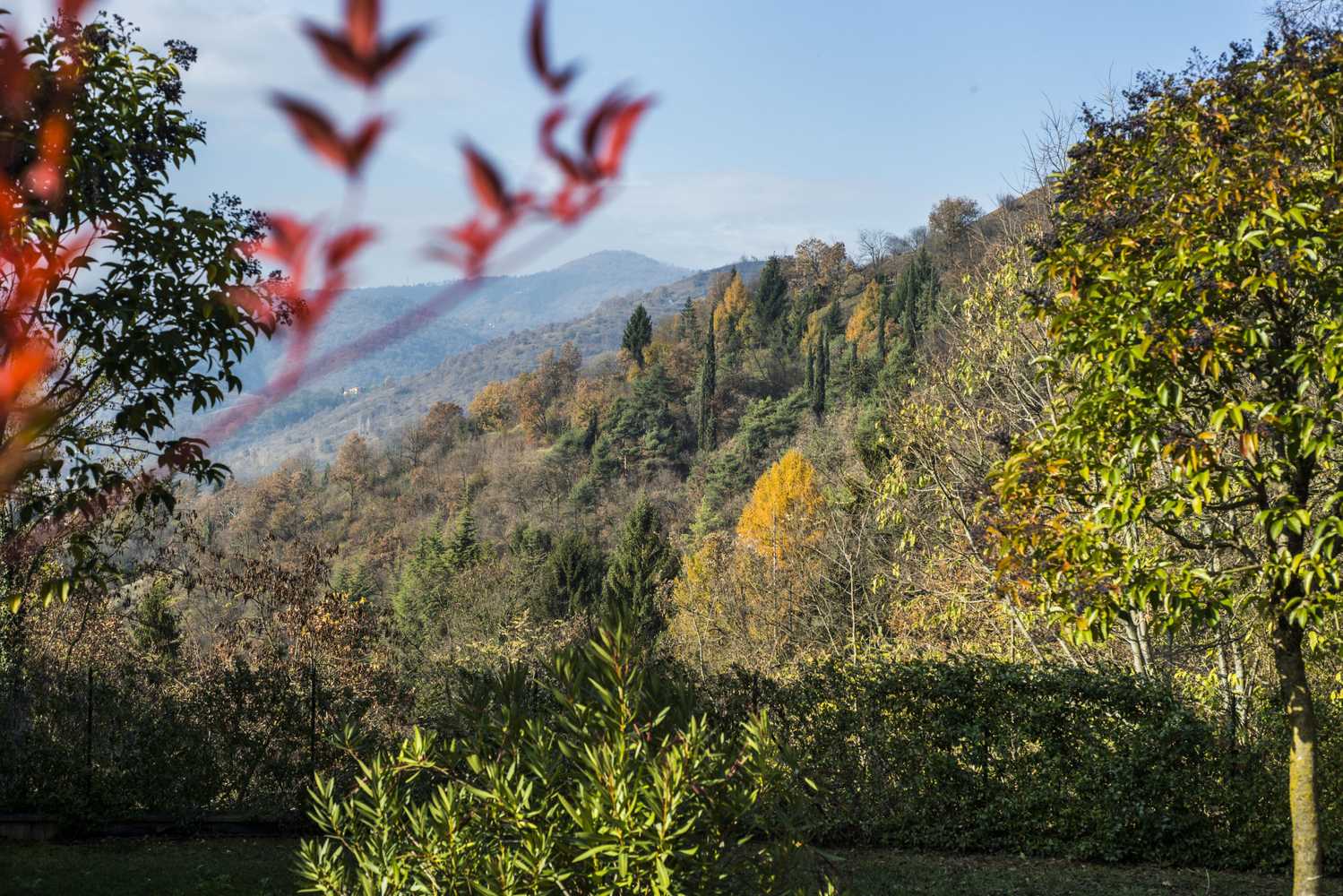 Gift card for Borgo Alla Sorgente