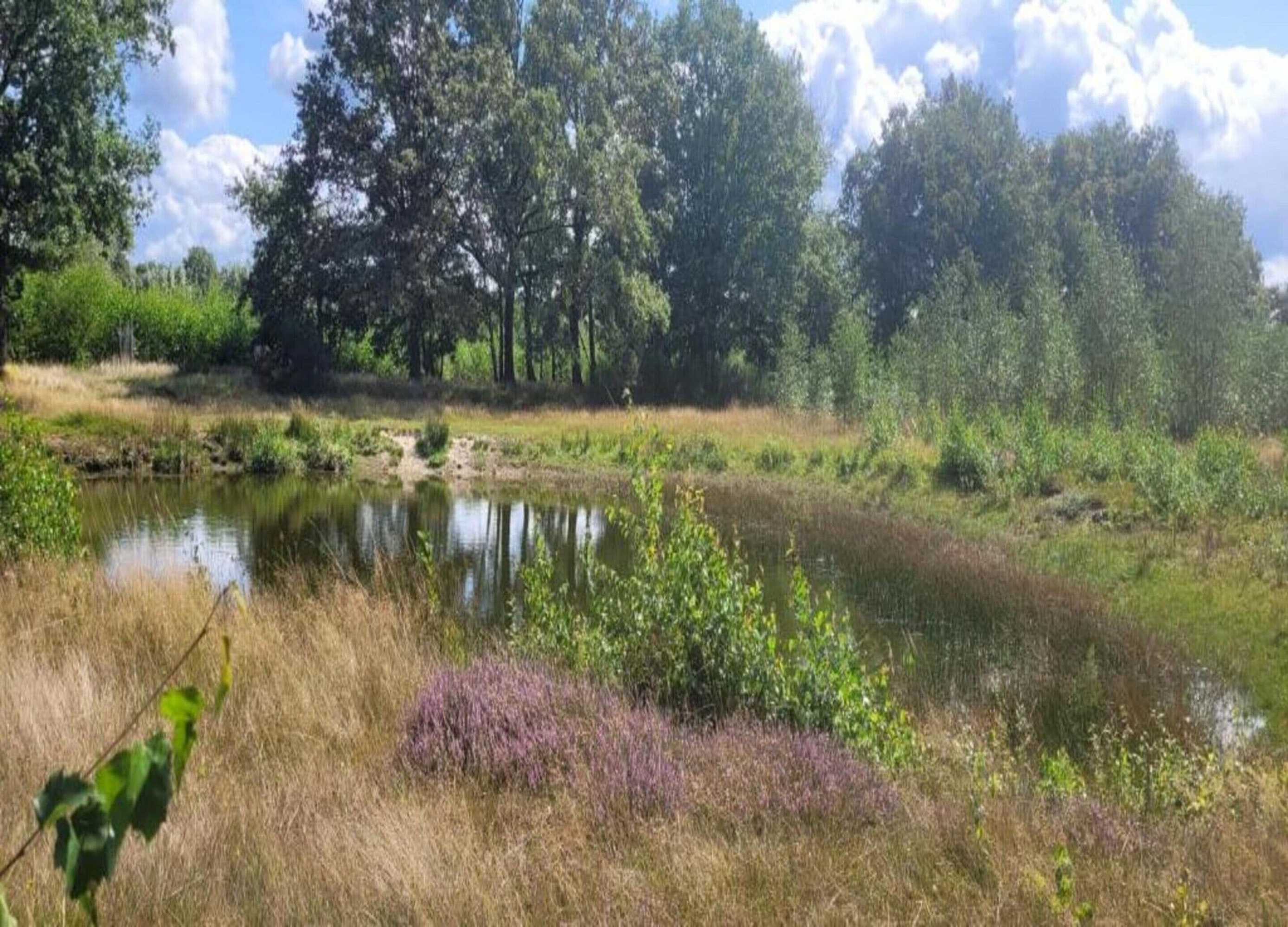 Gift card for Villa in Sandberghe With Sauna And Comfort