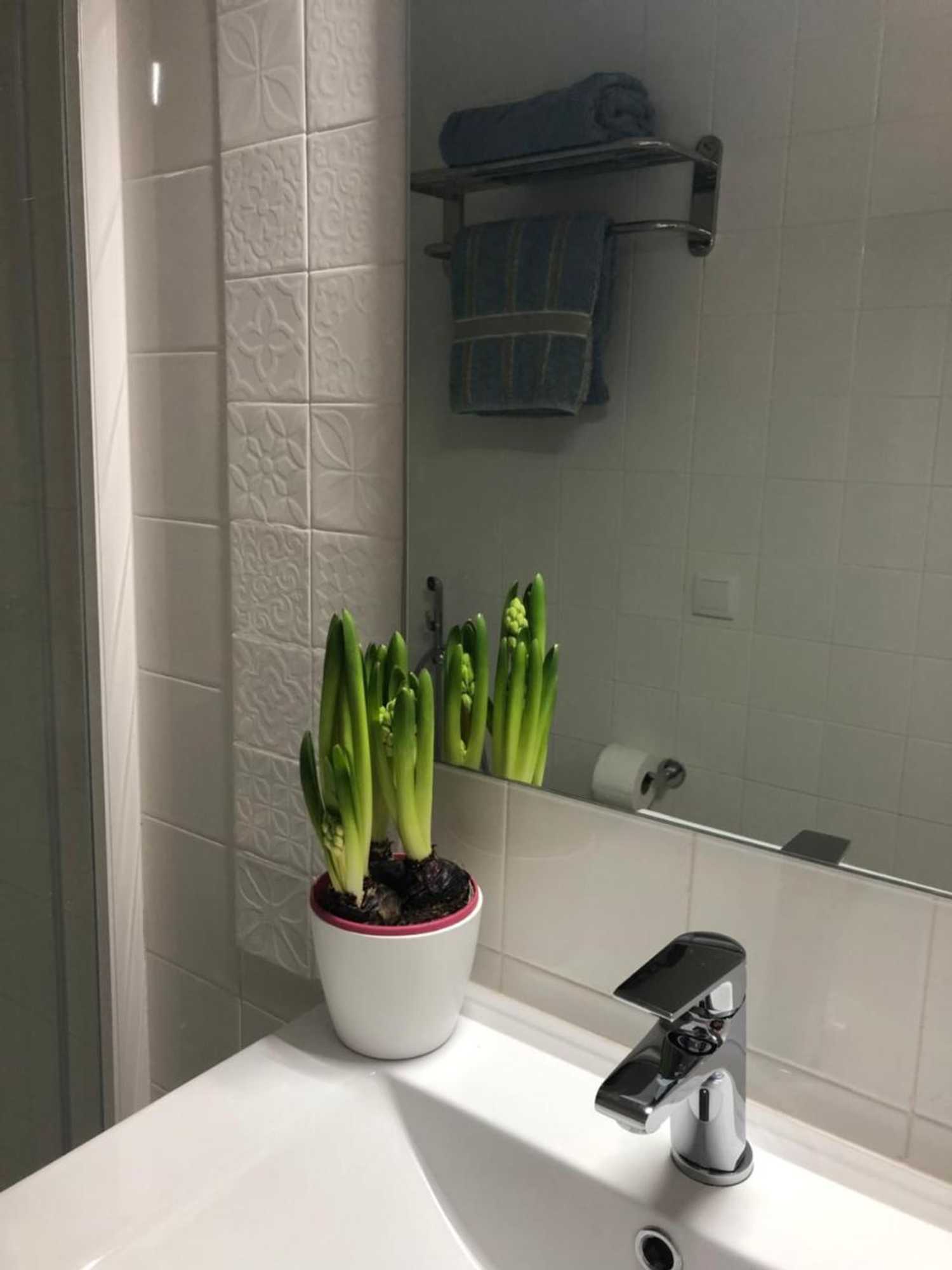 Gift card for Quinta Nova do Almeida