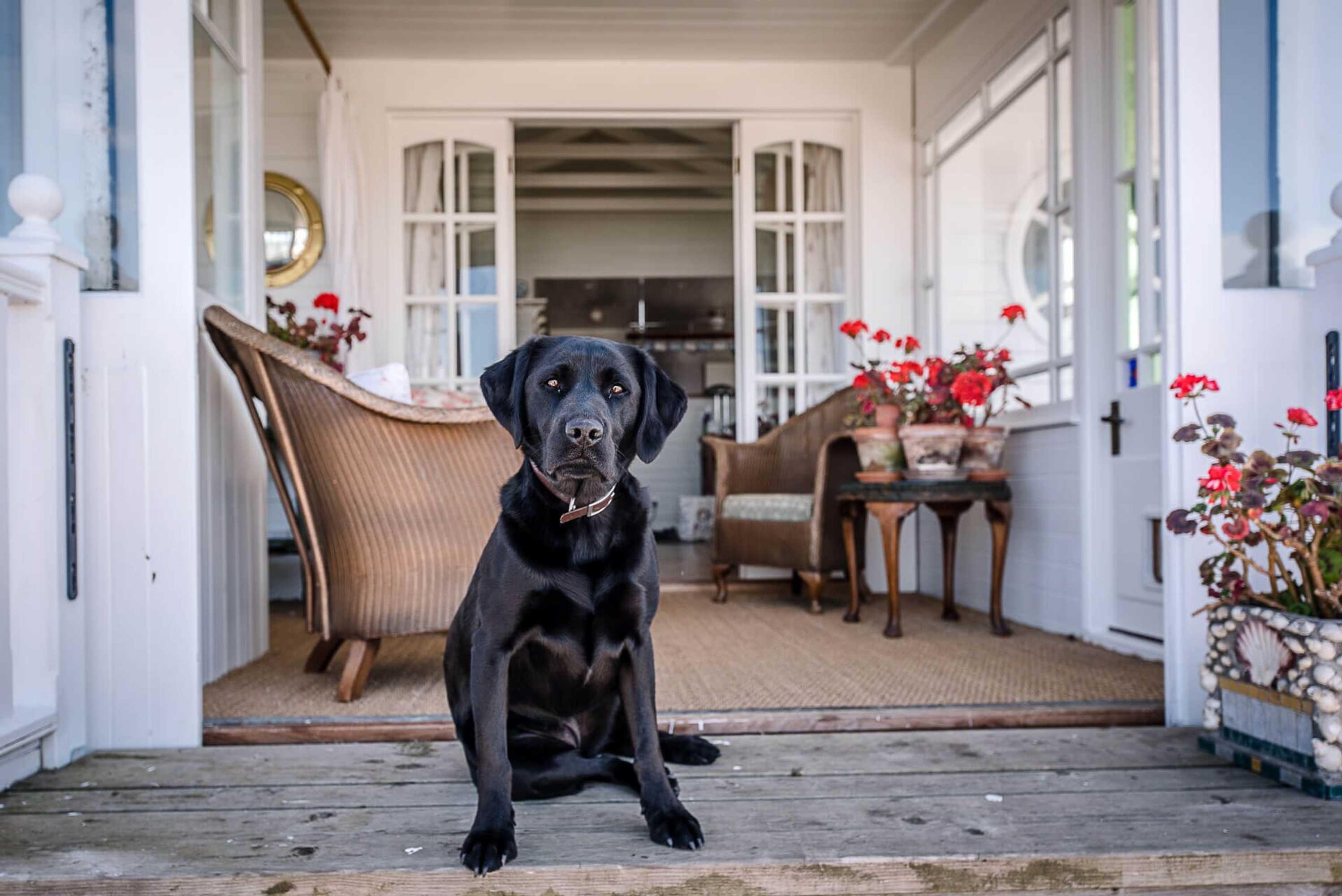 Gift card for The Boathouse, Felixstowe Ferry