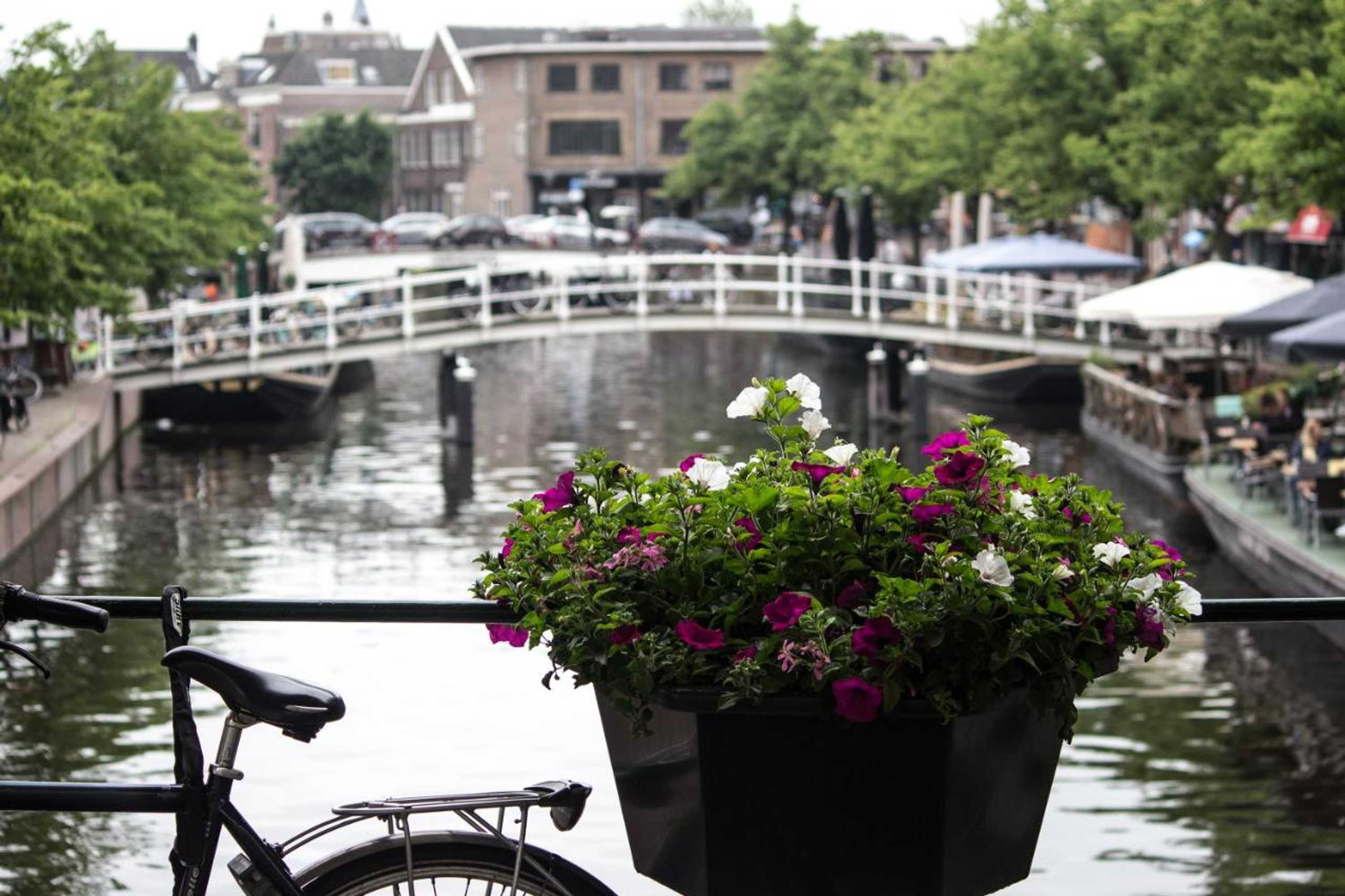 Gift card for Nr22 Leiden