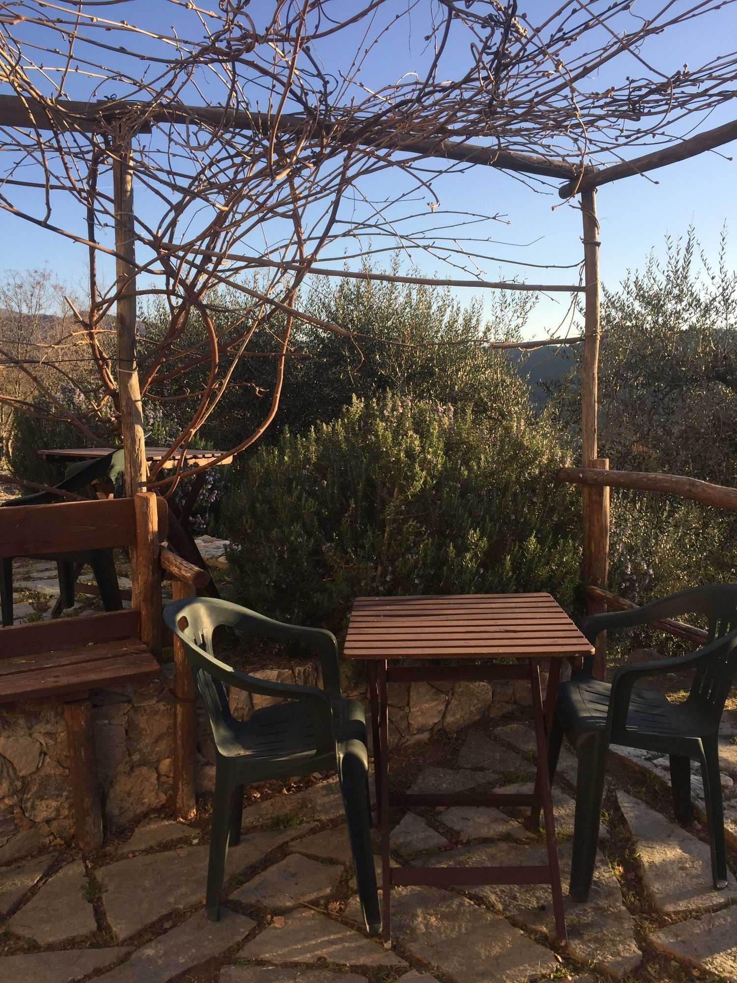 Gift card for Joie de Vivre