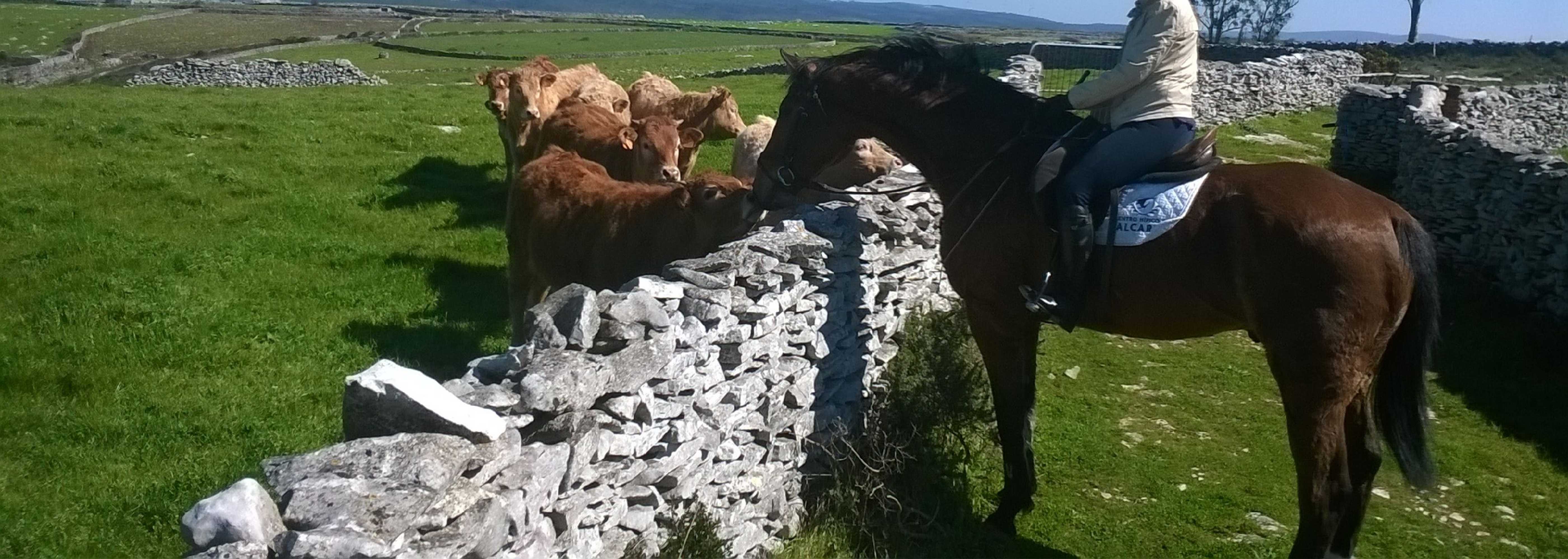 Gift card for Hotel Villa Batalha