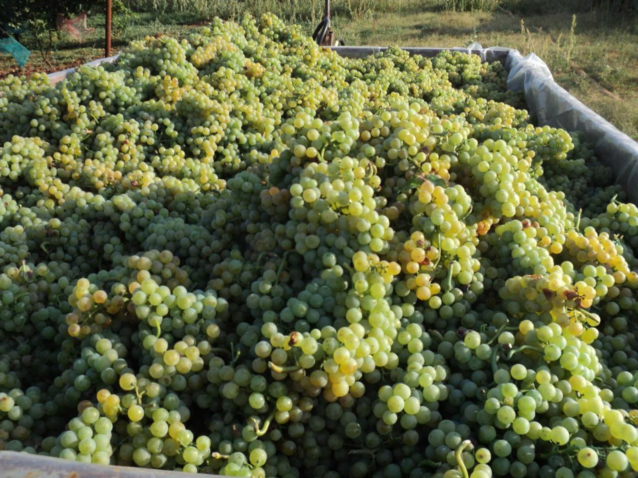 Gift card for Annamaria Home