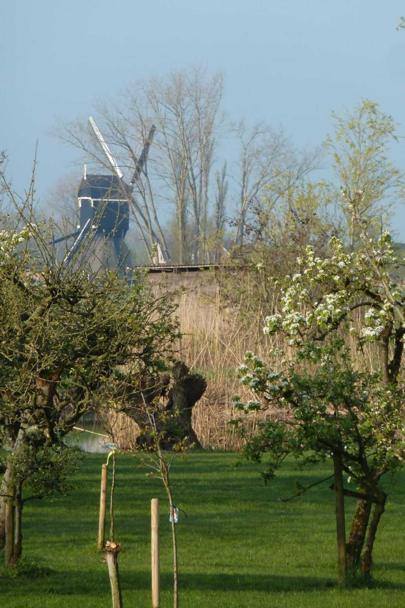 Gift card for Bed&breakfast Hoornaar