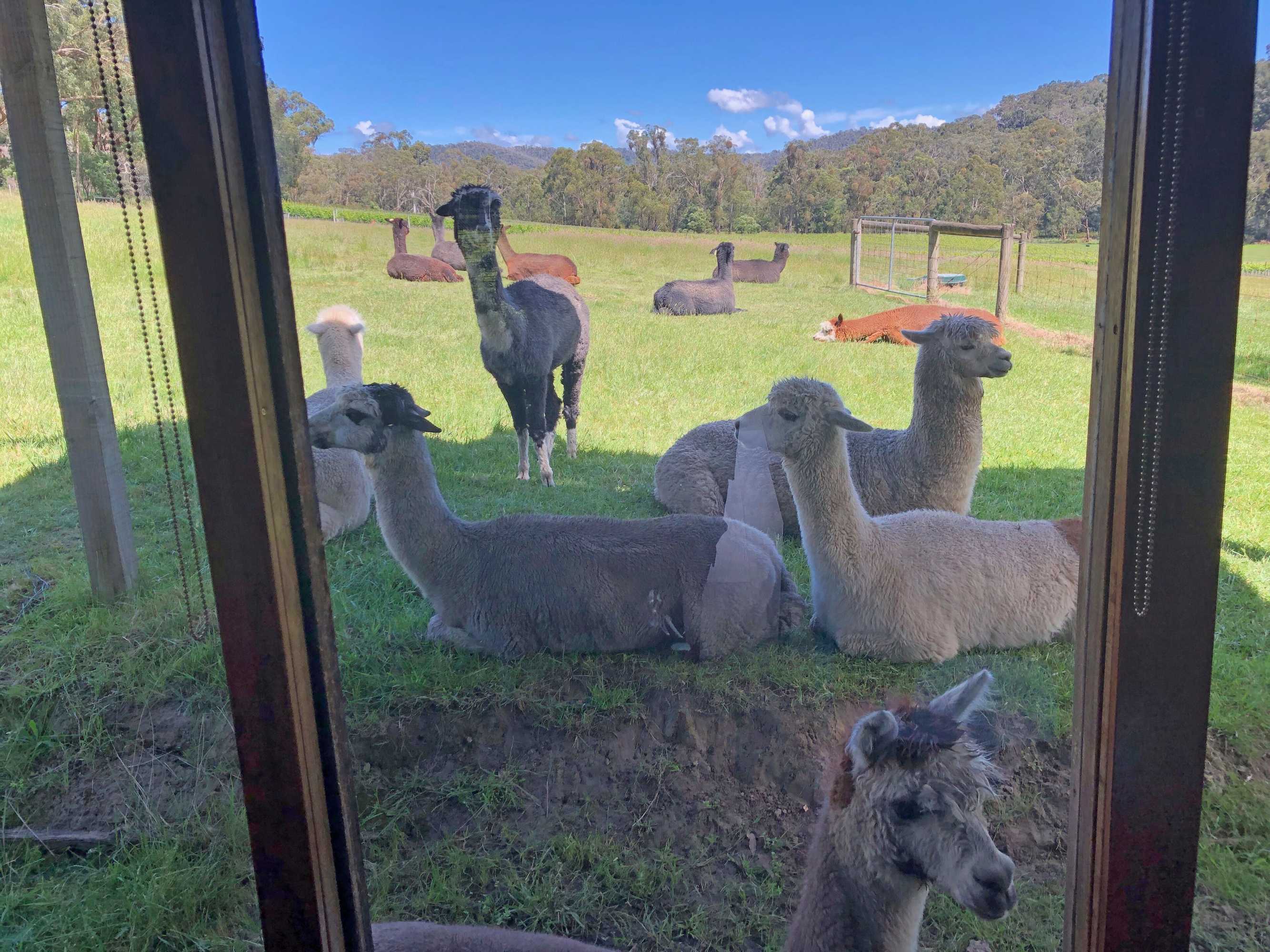 Gift card for Valley Farm Vineyard Villas