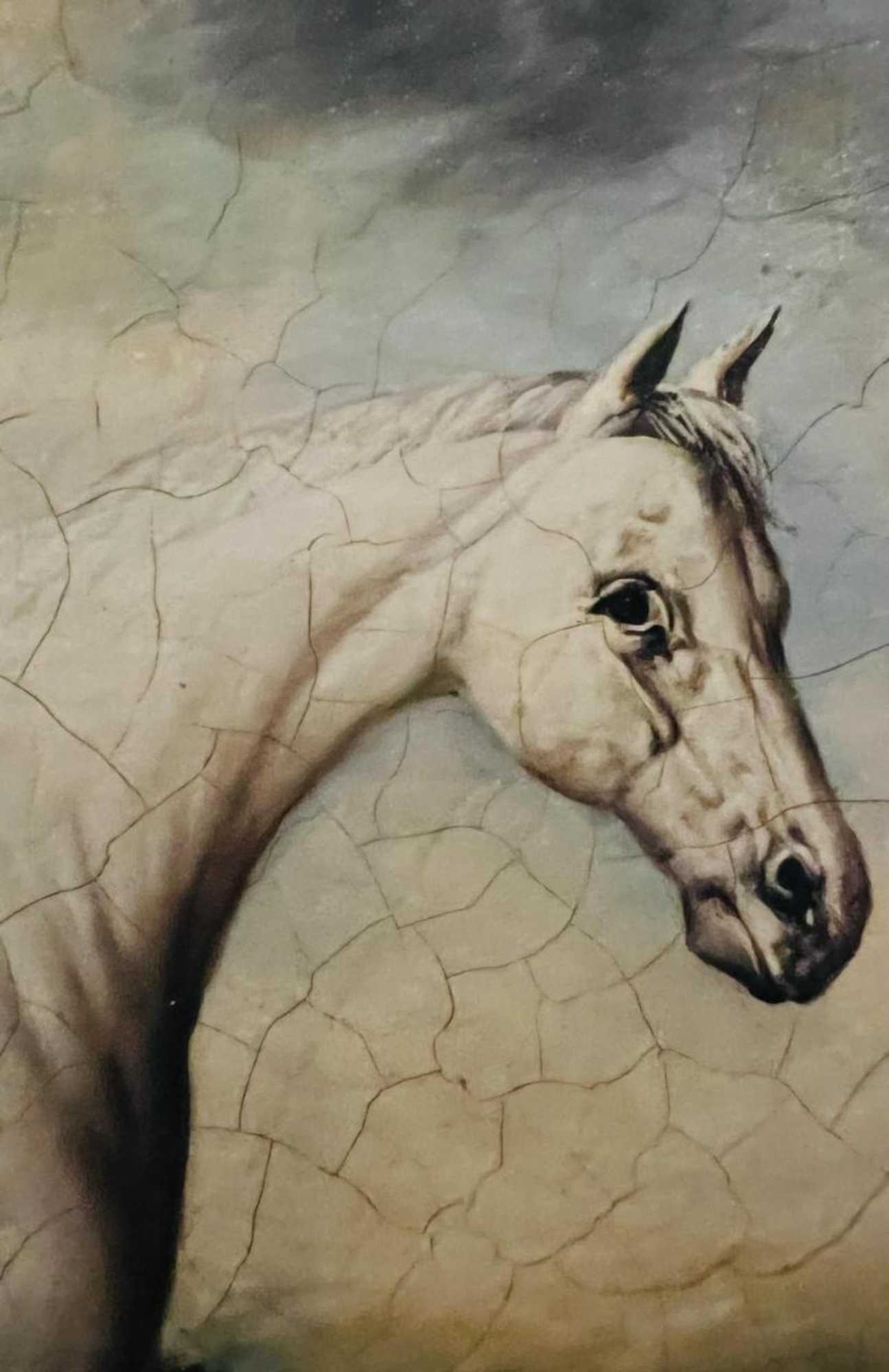 Gift card for New Flying Horse