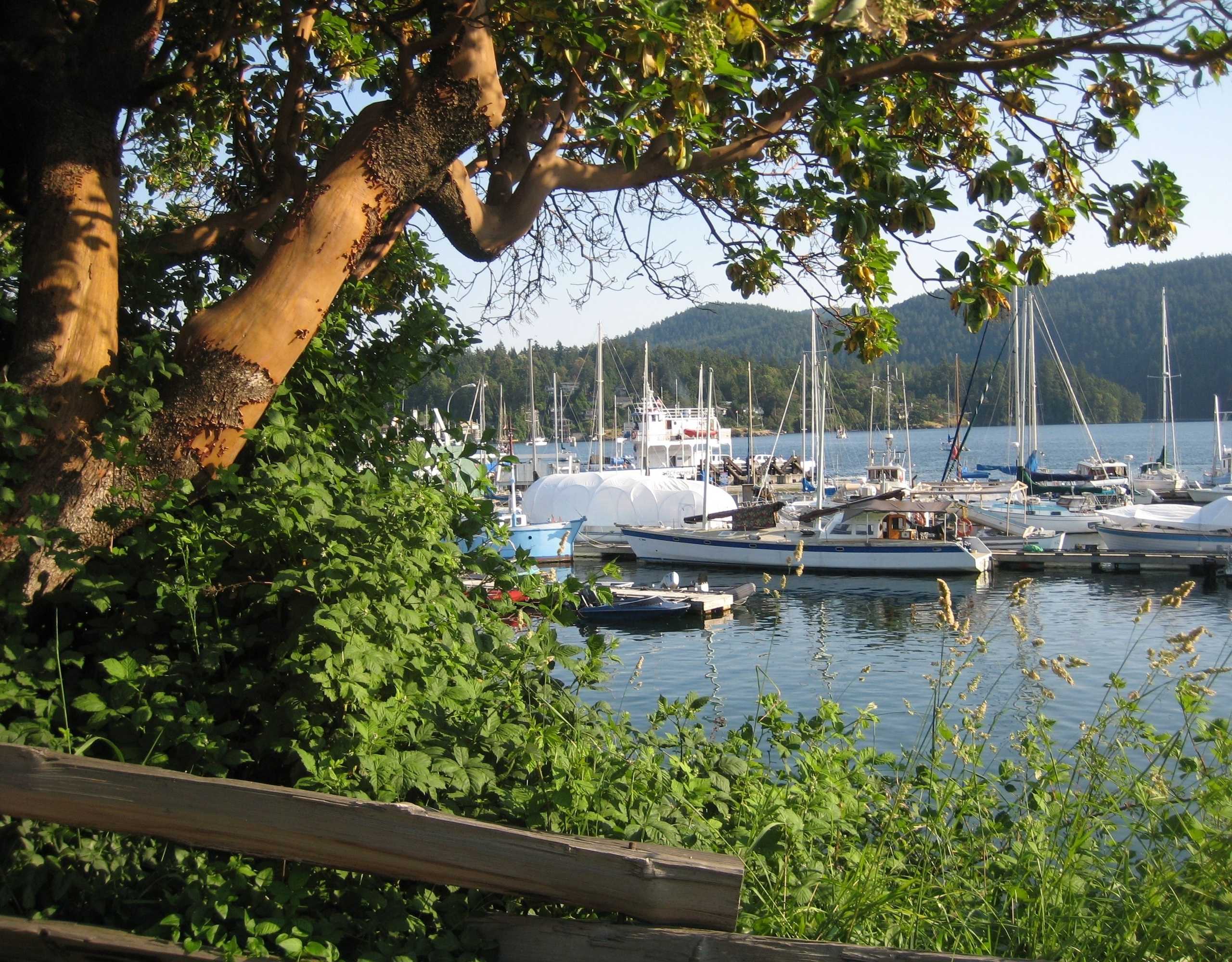 Gift card for Brentwood Bay Resort & Spa Gift card for Brentwood Bay Resort & Spa