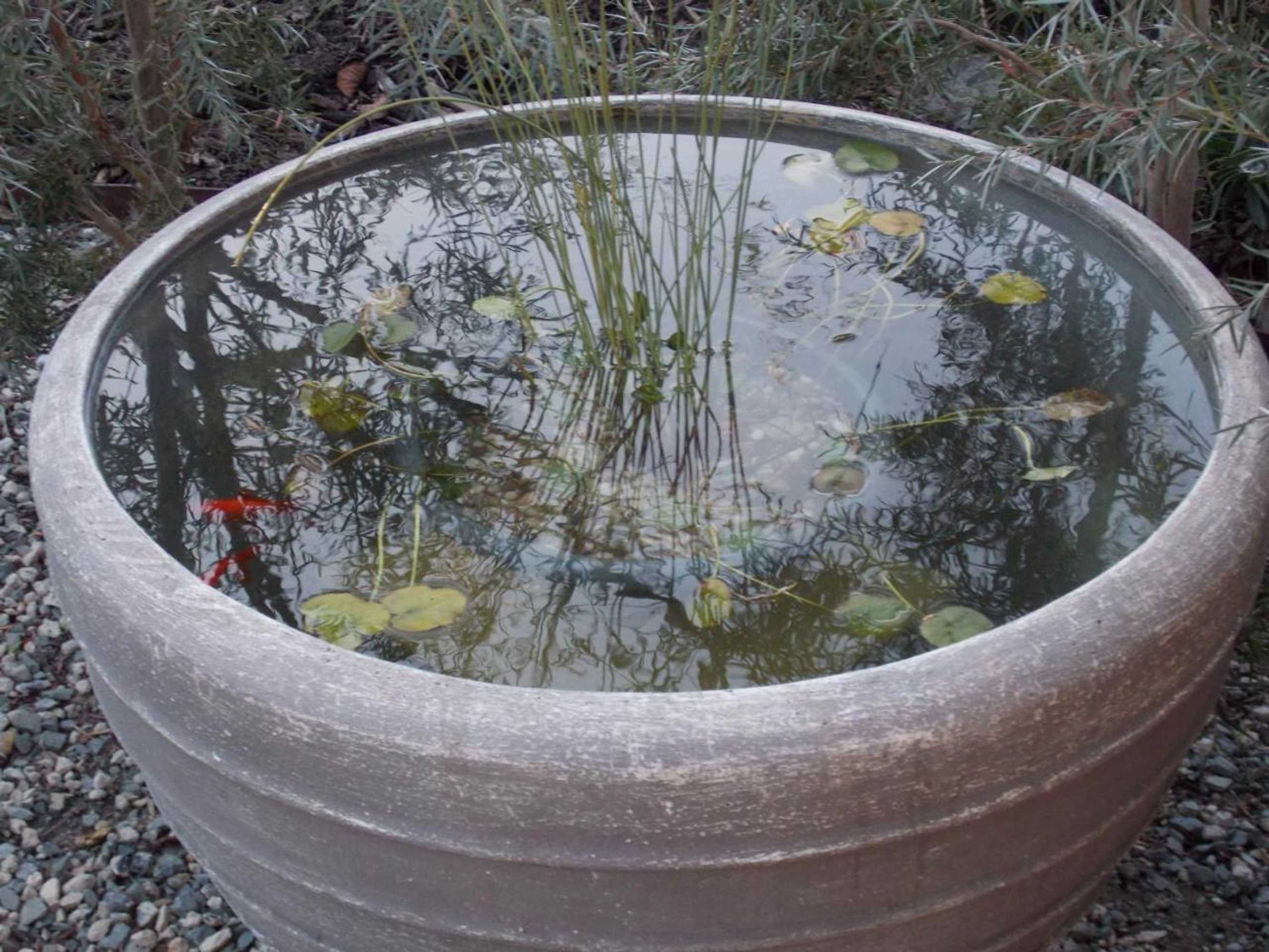 Gift card for Port Mccrae