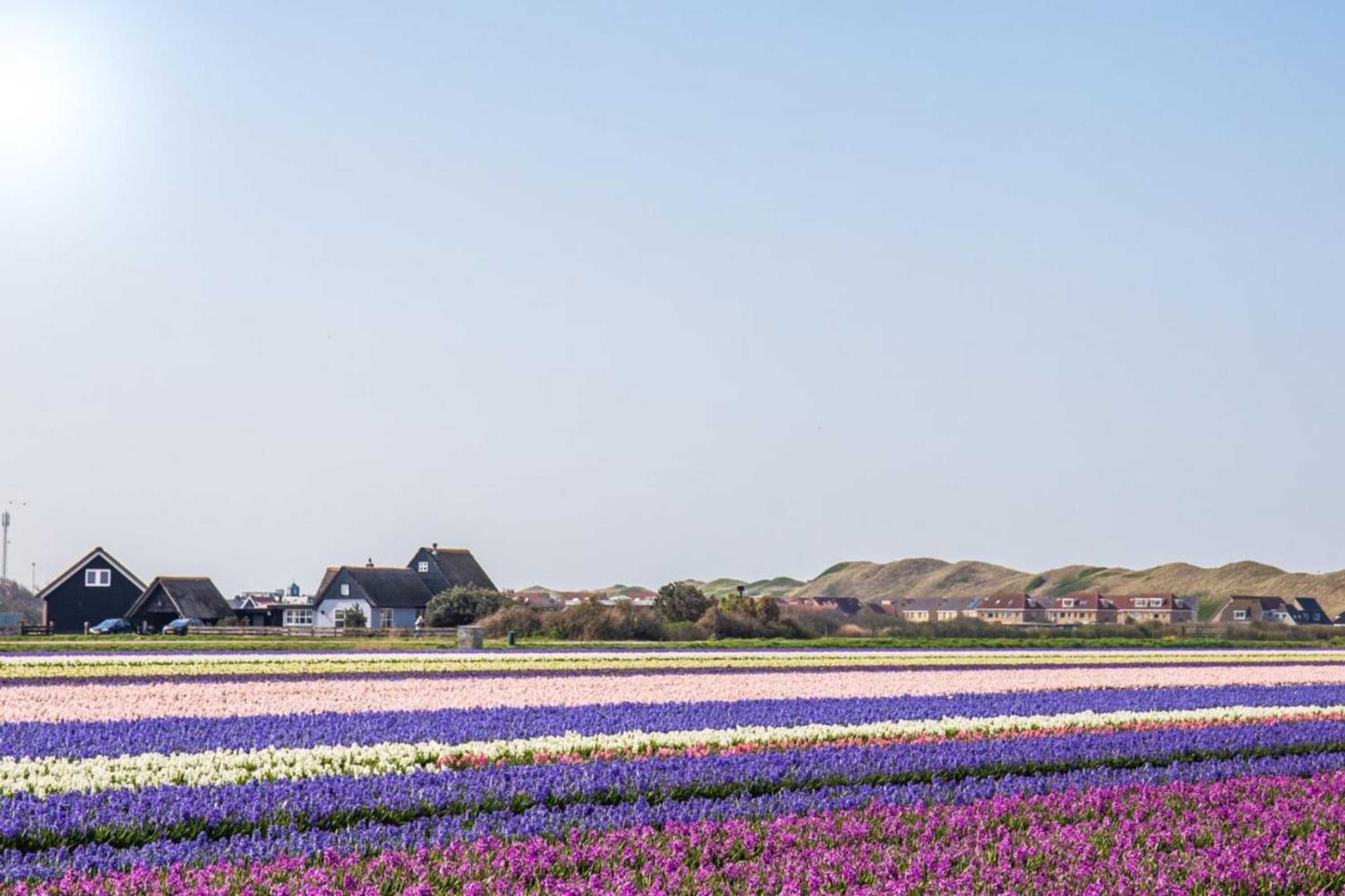 Gift card for Chalet Luttikduin 21, Aan Het Strand Met Ruime Tuin! - Callantsoog Gift card for Chalet Luttikduin 21, Aan Het Strand Met Ruime Tuin! - Callantsoog