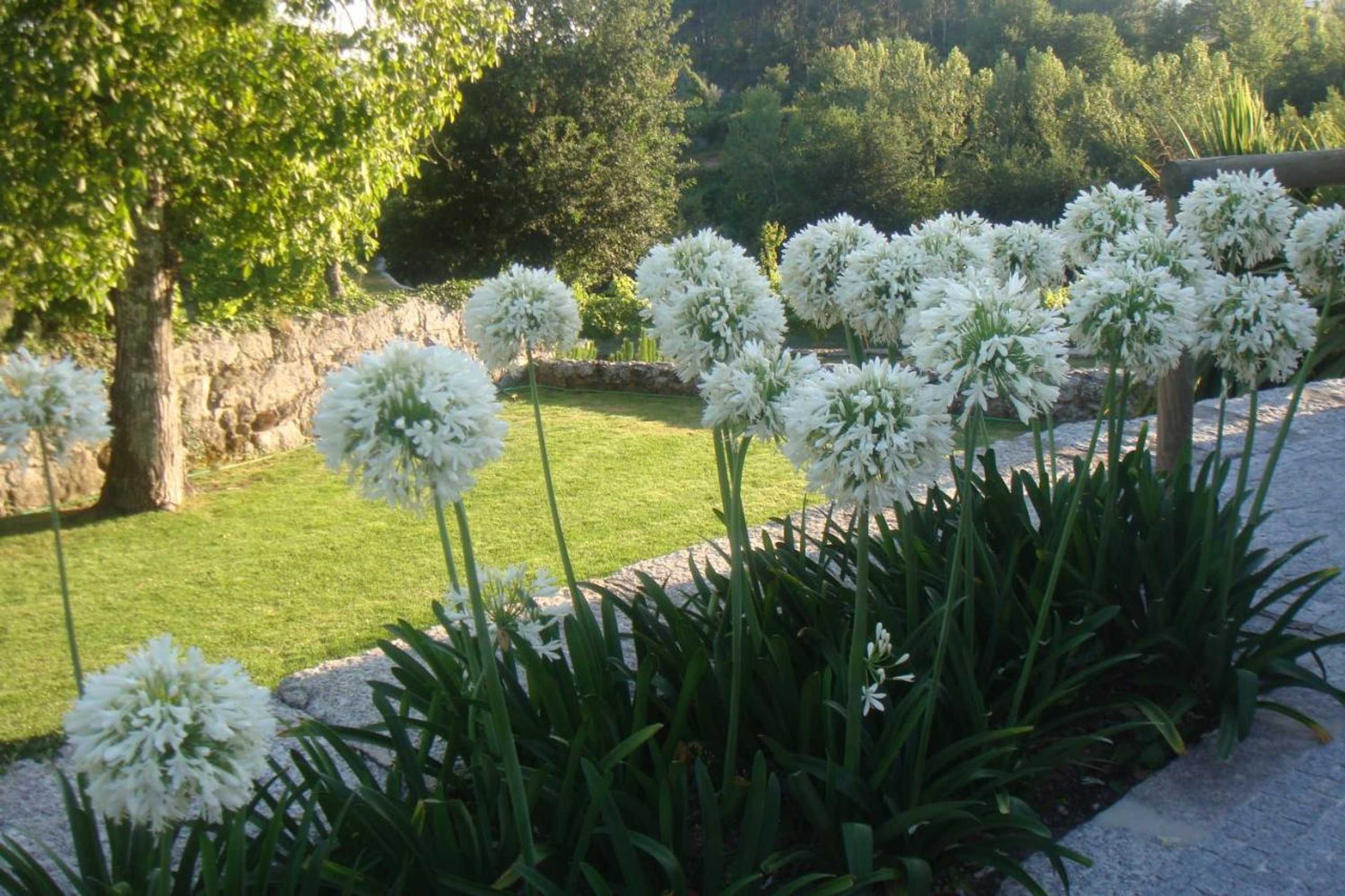 Gift card for Cazal Da Lamella