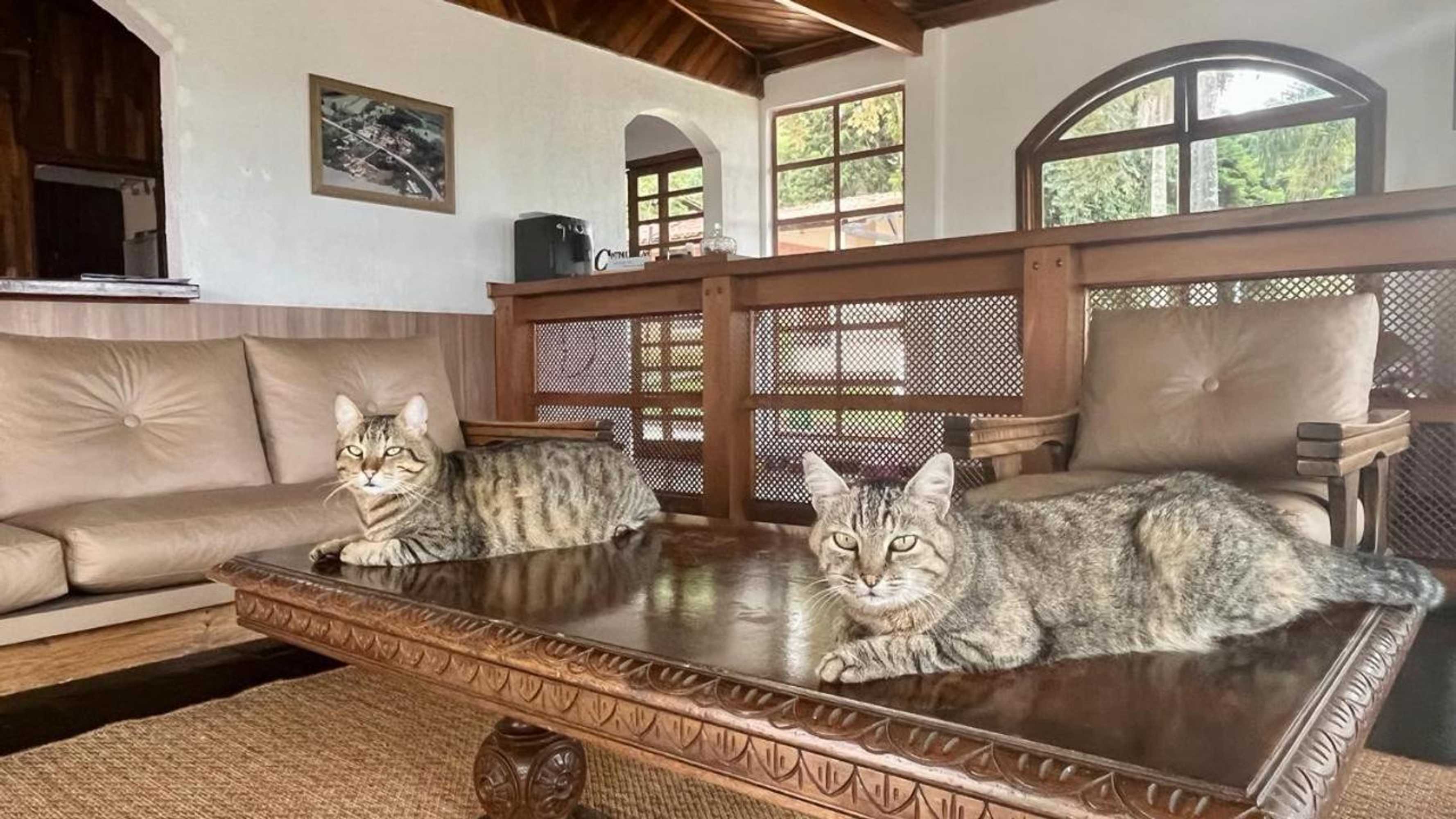 Gift card for Hotel Varandas do Sol