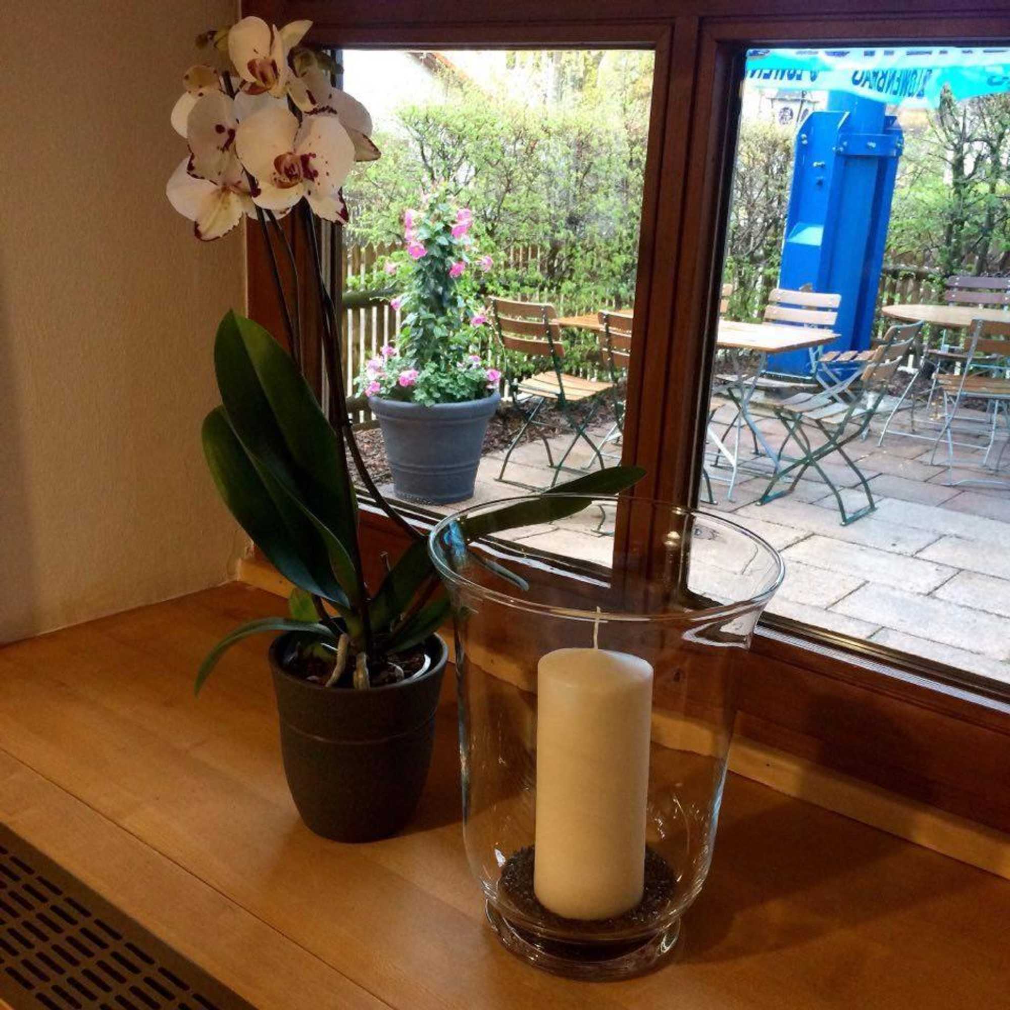 Gift card for Landgasthof Haller