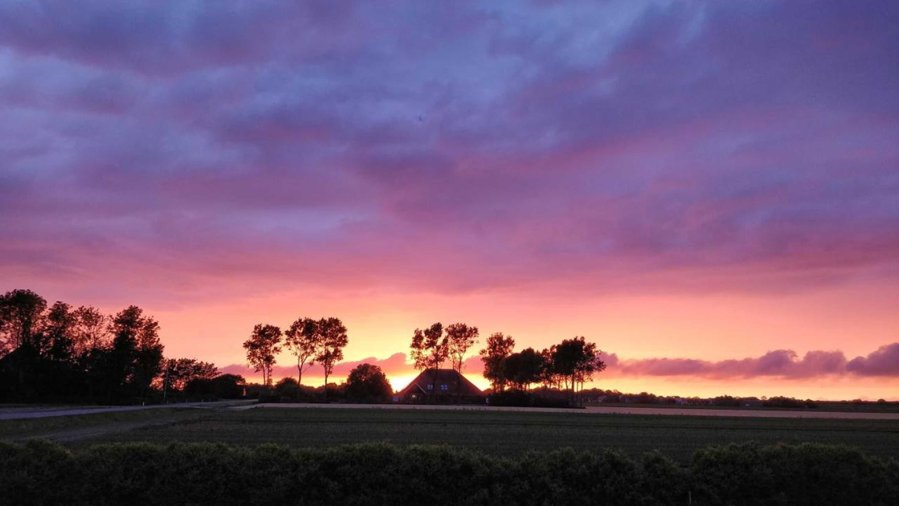 Gift card for Camping De Tulpenweide Kampeerplaats