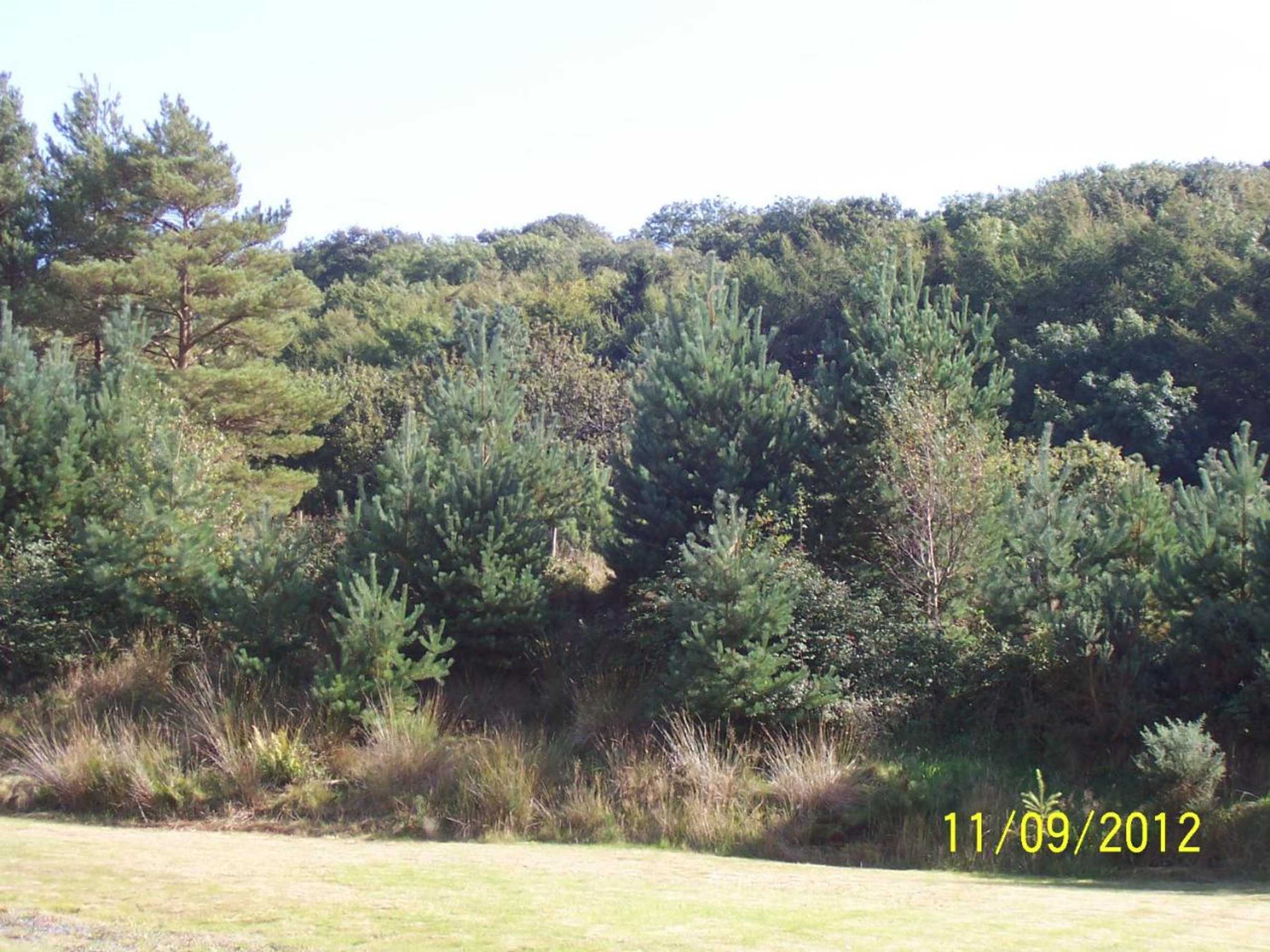 Gift card for Jonti Bed And Breakfast