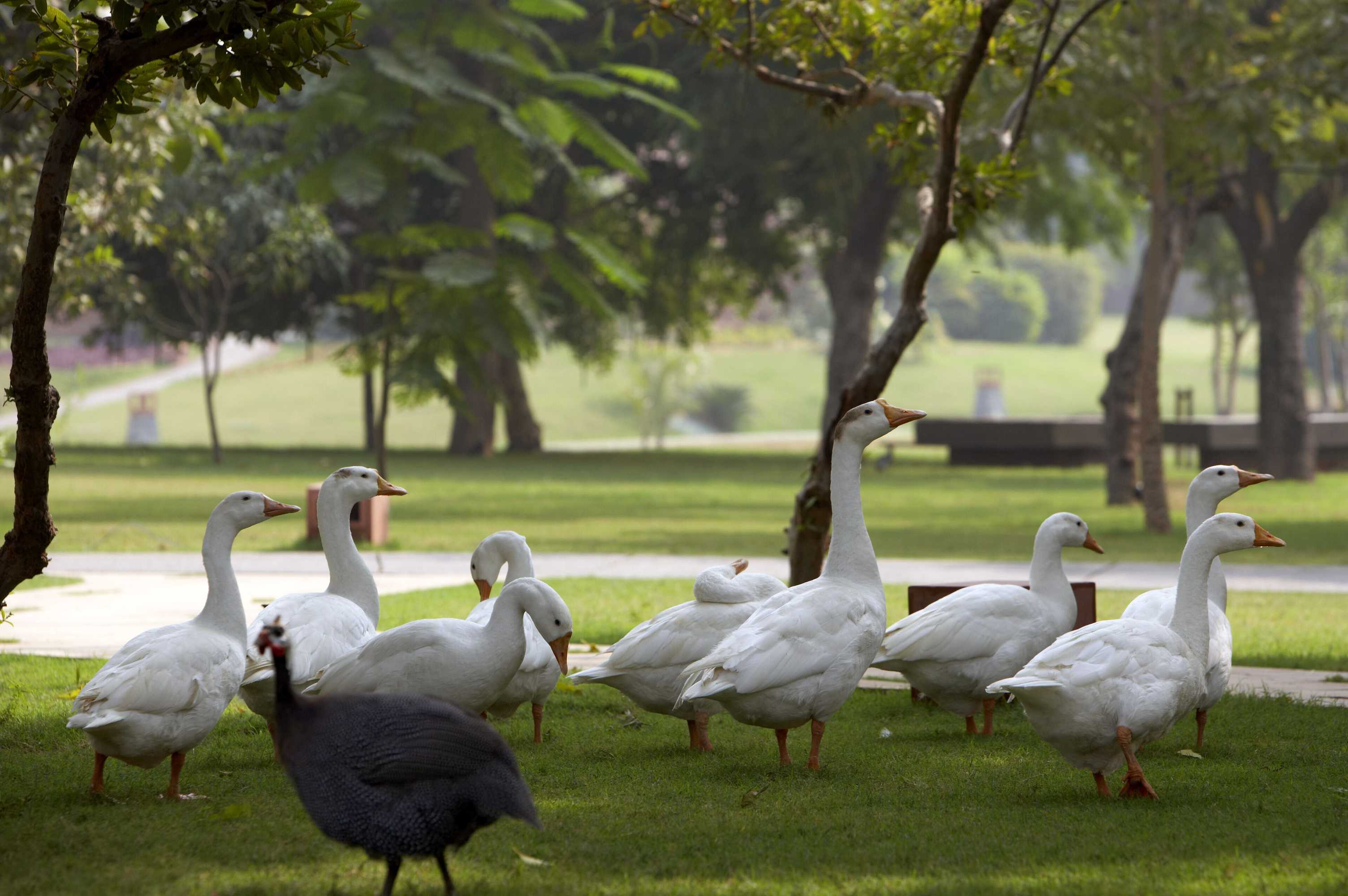 Gift card for The Westin Sohna Resort & Spa Gift card for The Westin Sohna Resort & Spa