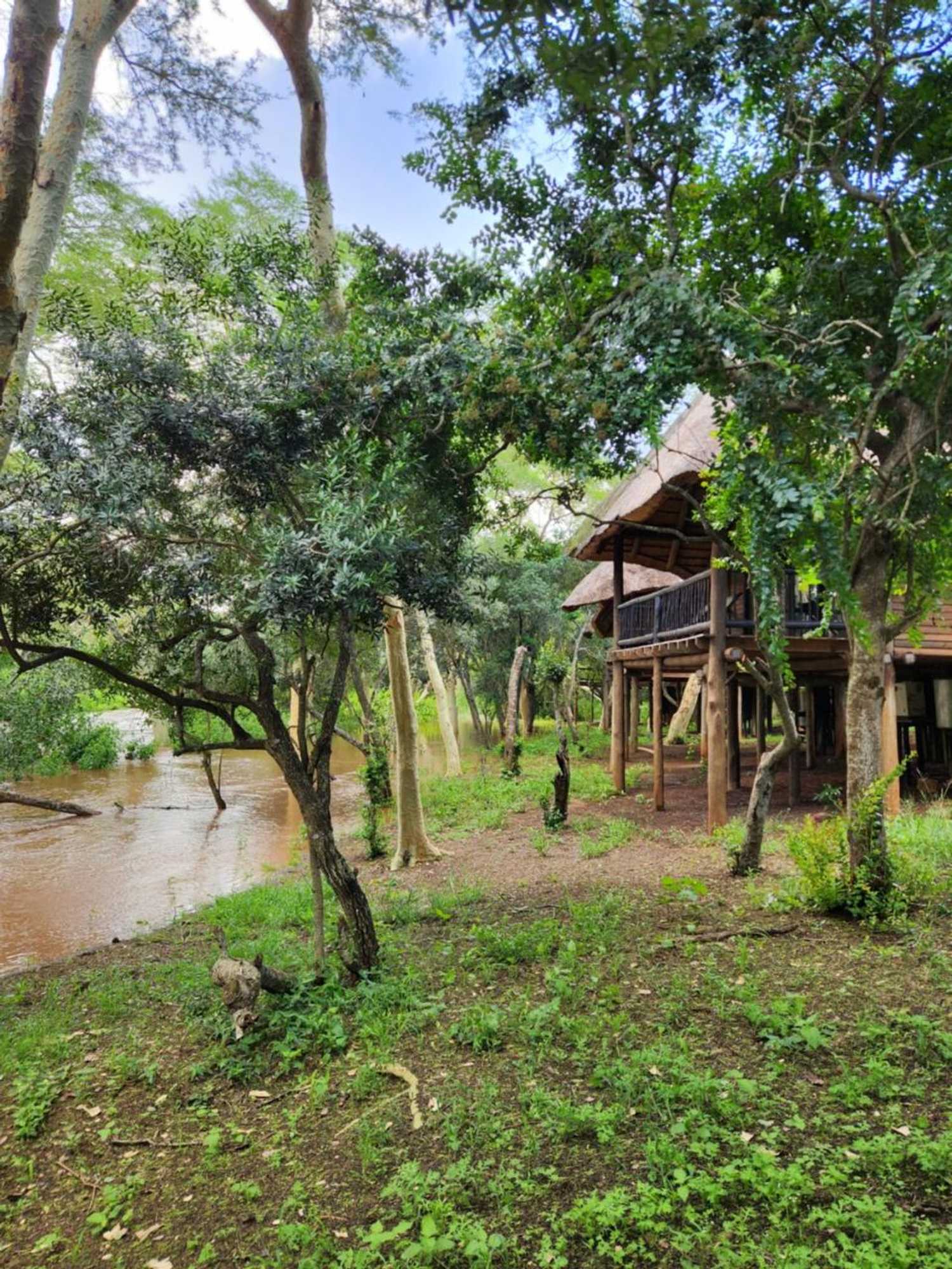 Gift card for Ubizane Zululand Tree Lodge Gift card for Ubizane Zululand Tree Lodge