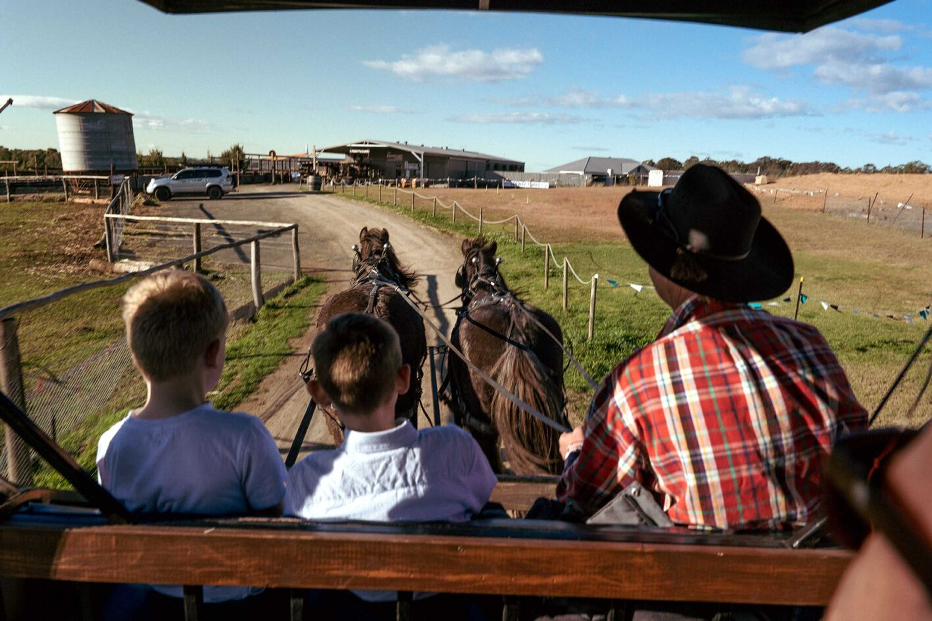 Gift card for Hunter Valley Resort, Hunter Farm Adventure Centre & 4 Pines at The Farm Gift card for Hunter Valley Resort, Hunter Farm Adventure Centre & 4 Pines at The Farm