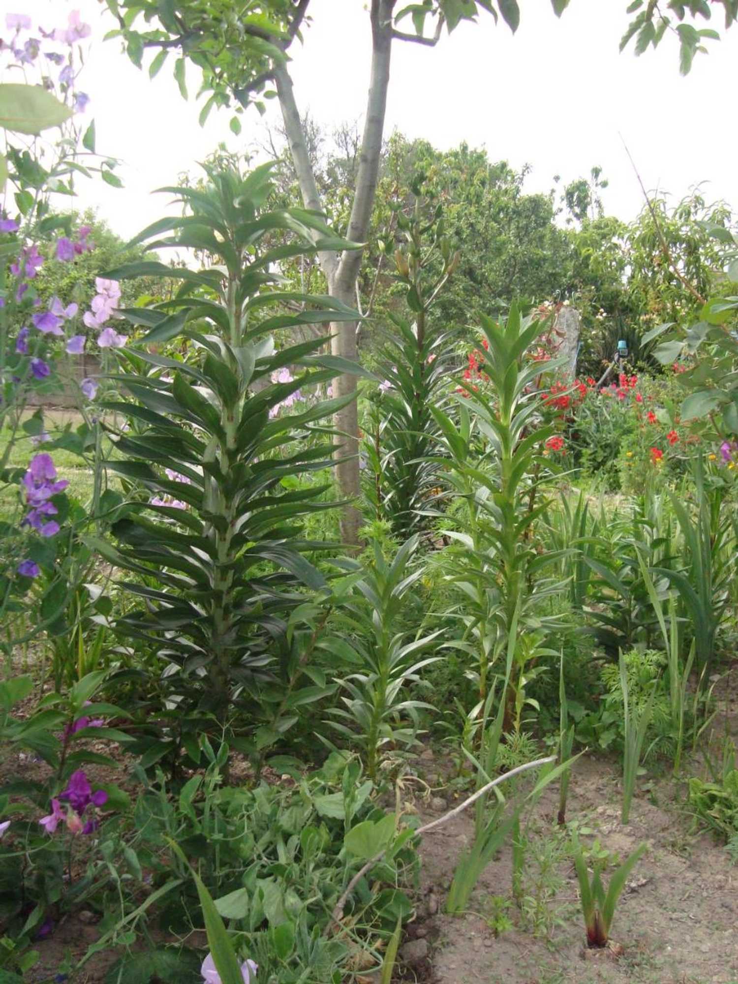 Gift card for Casa Villar Mayor