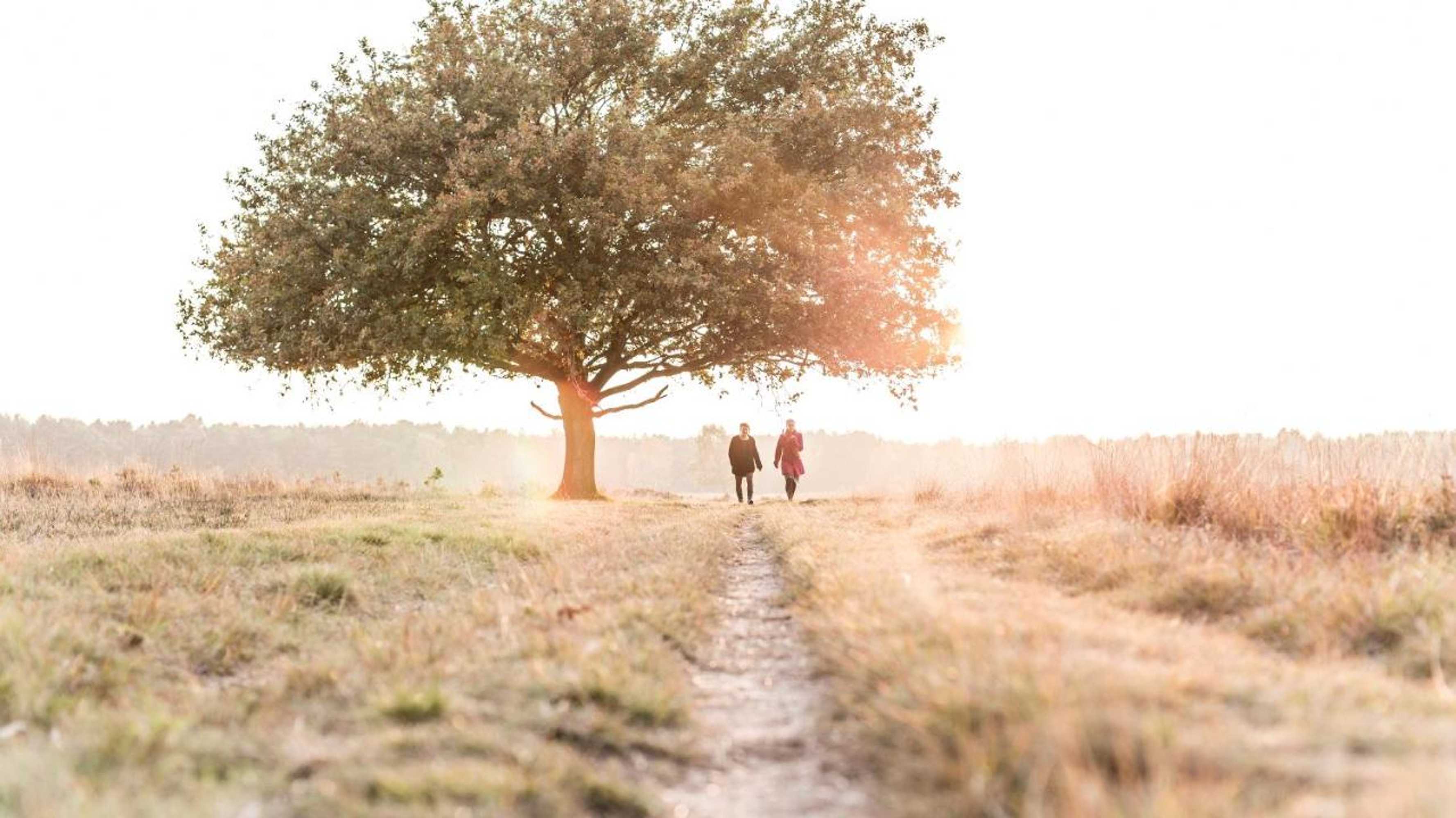 Gift card for Hotel Umberto