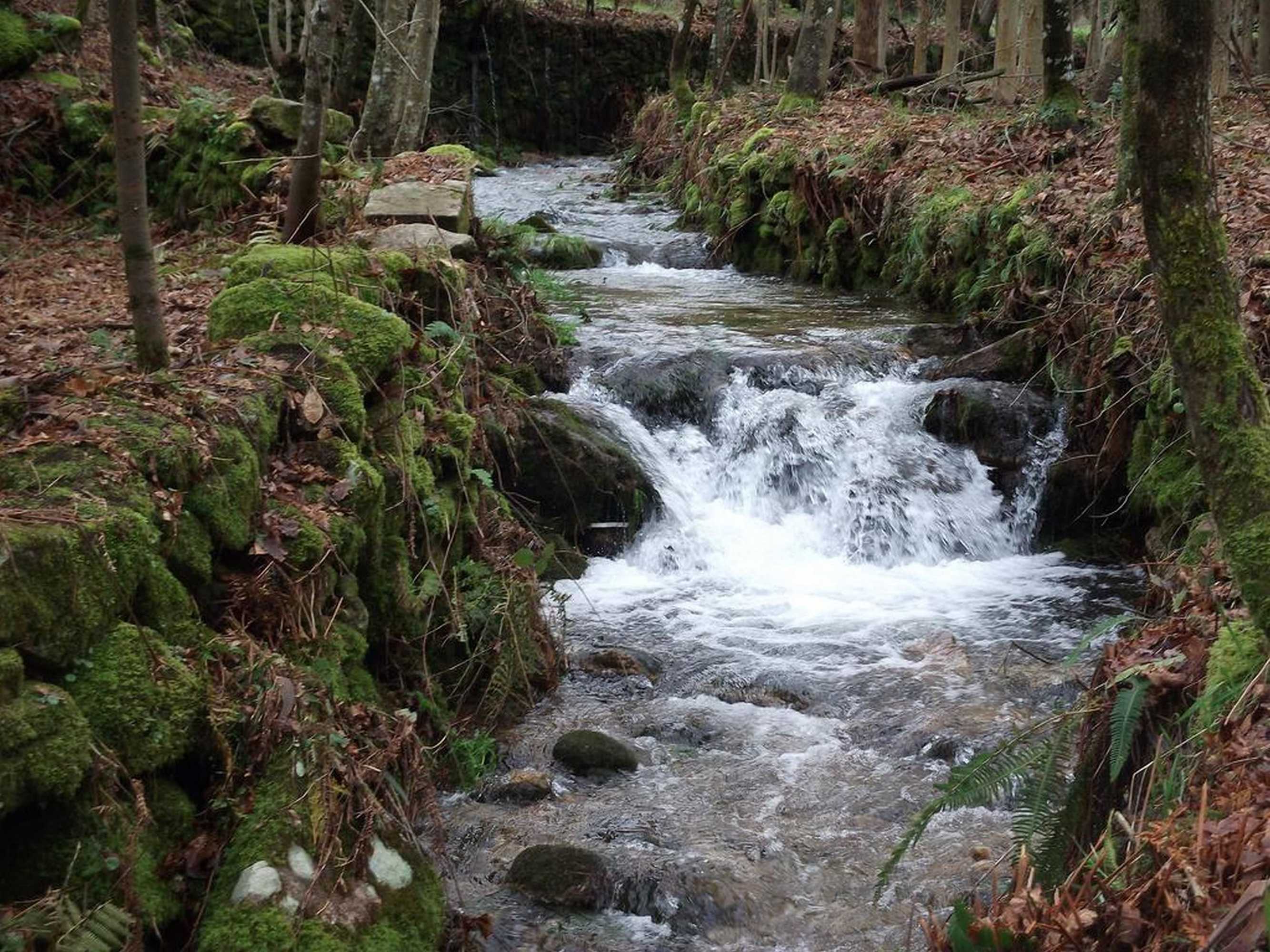 Gift card for Quinta Dos Caibrais