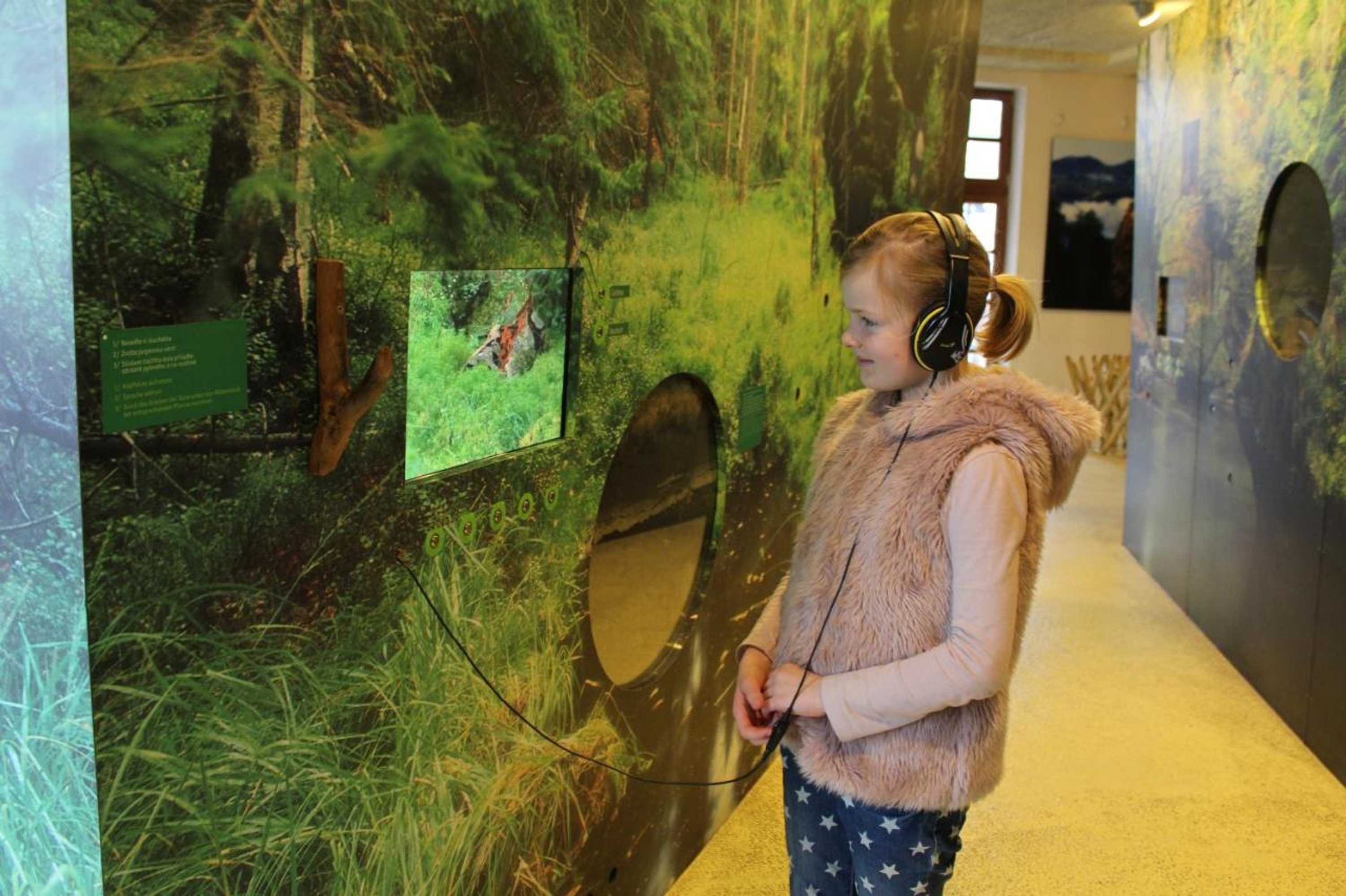 Gift card for Apartmán - Dům Českého Švýcarska