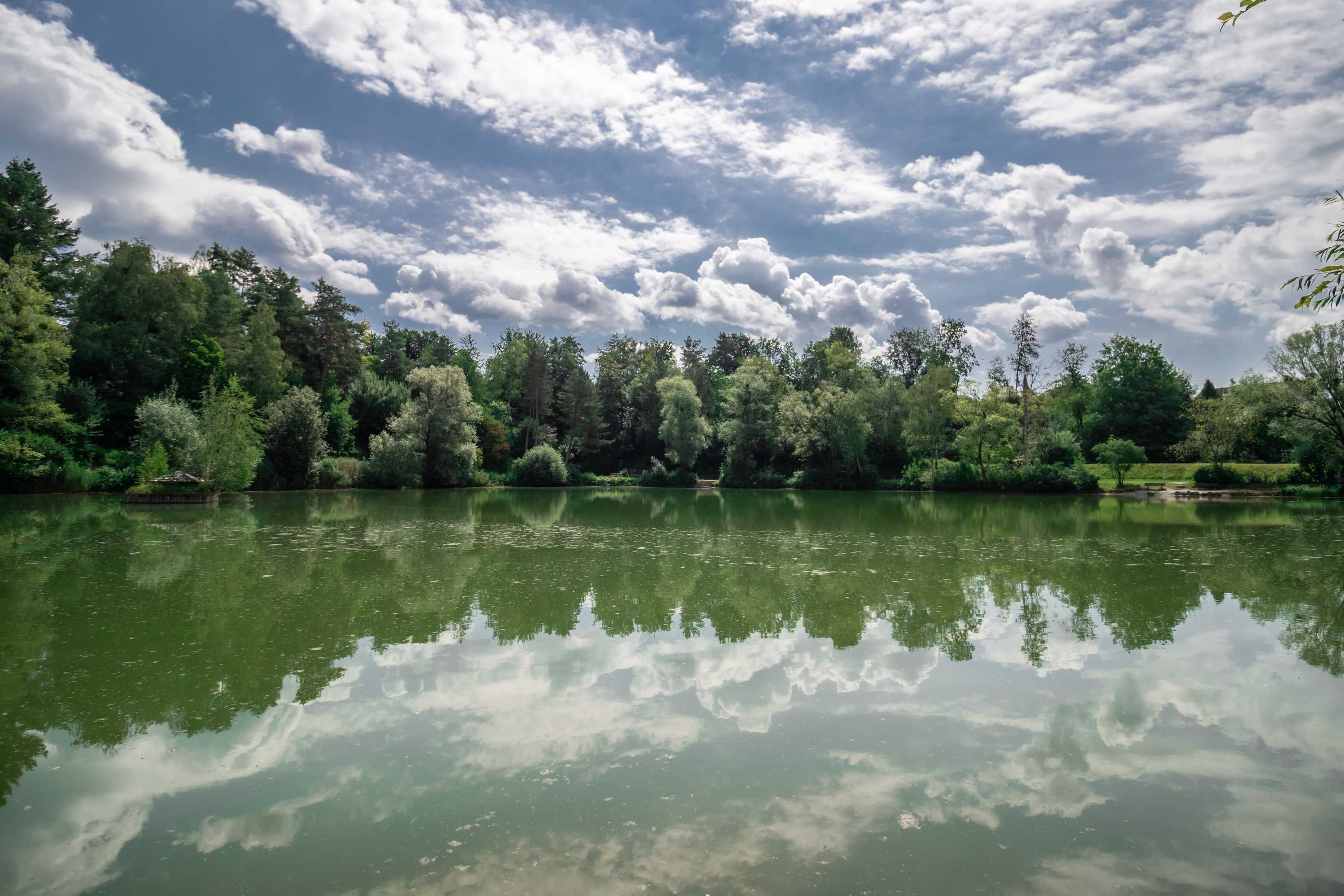 Gift card for Hotel Gasthof Rössle